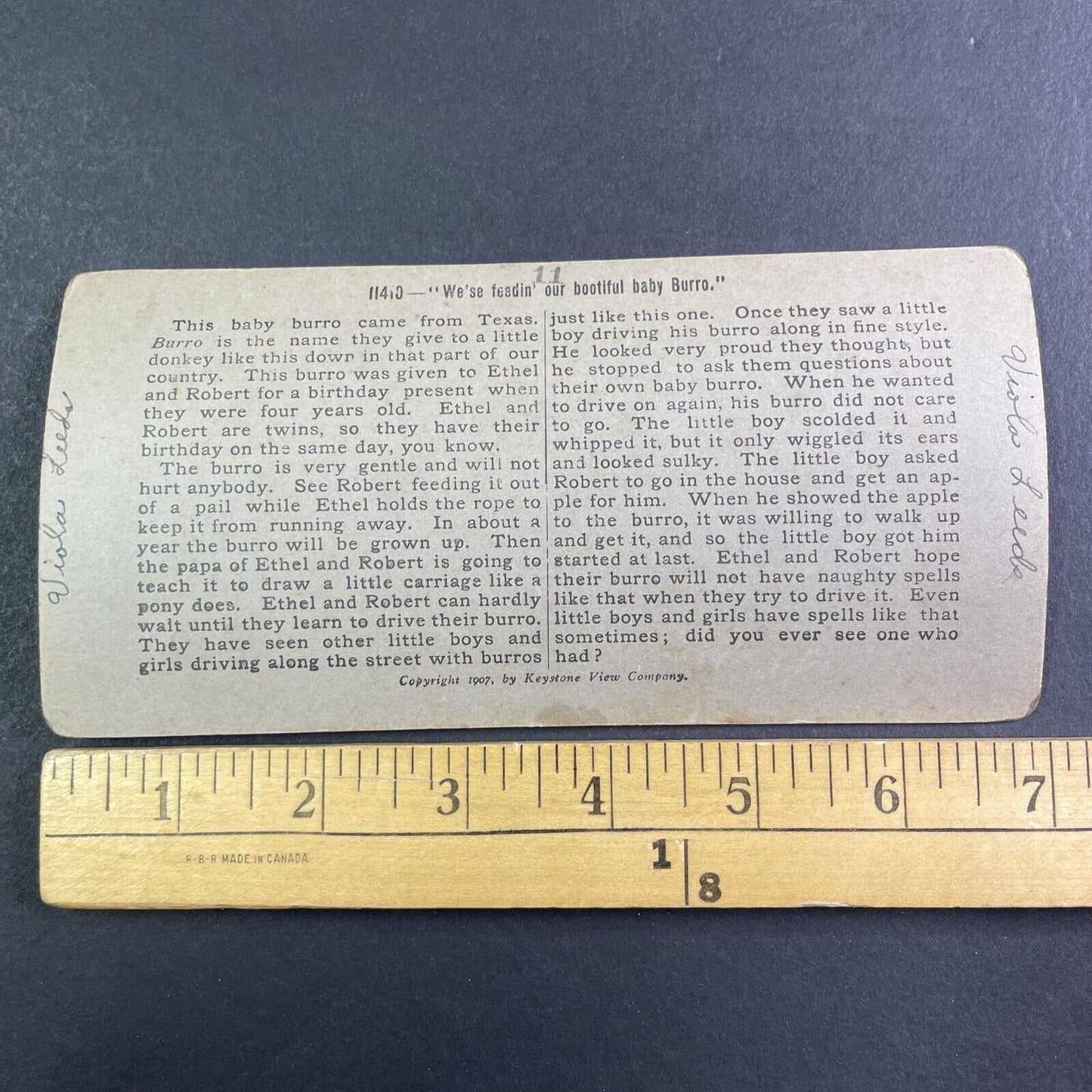 Children Feeding A Donkey Stereoview Keystone Antique c1907 X4141