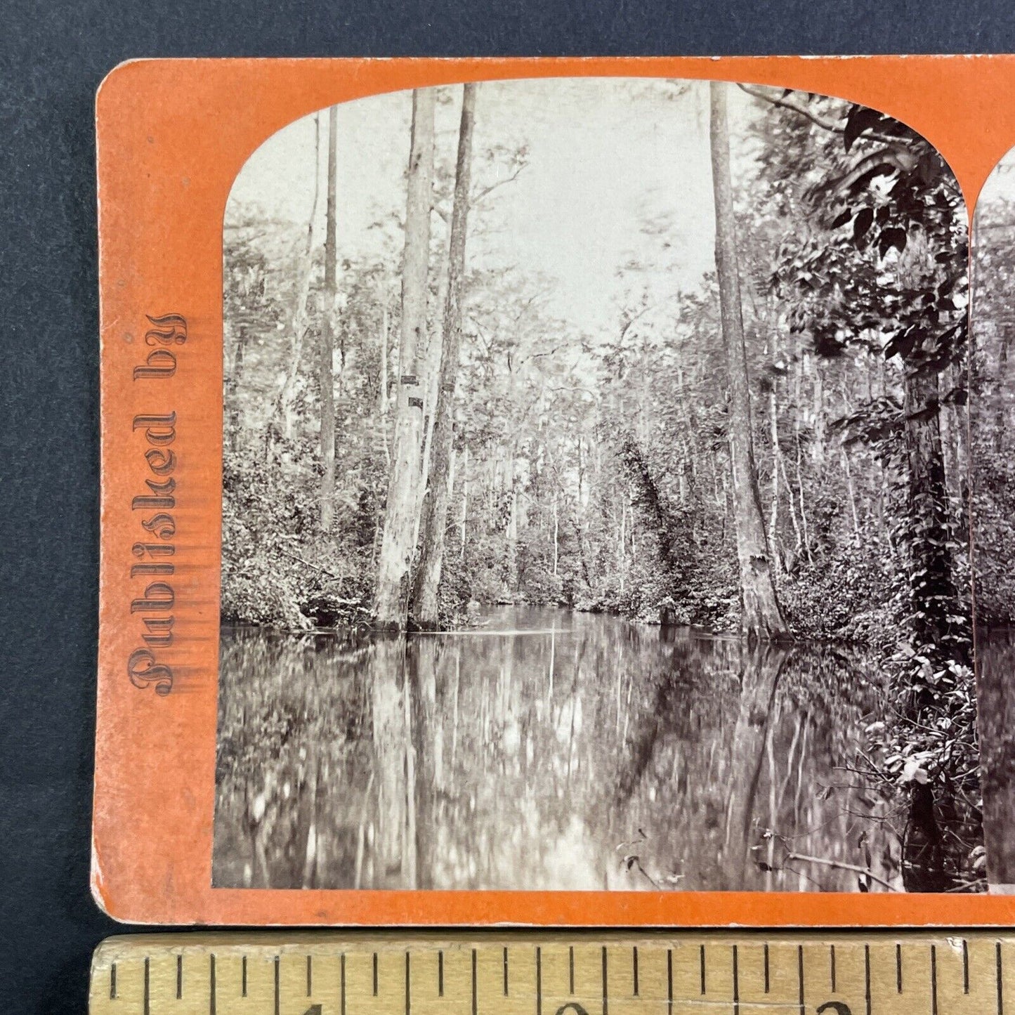 Ocklawaha River Eureka Florida Cypress Gate Stereoview JF Mears c1870 Y067