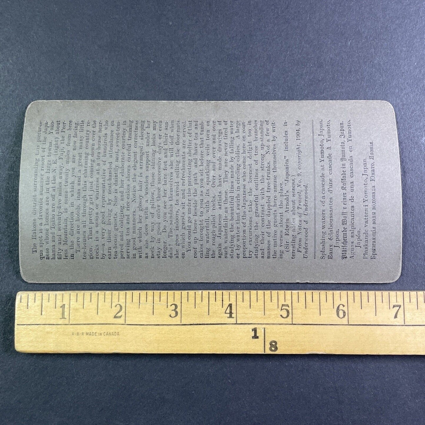 Hakone Yumoto Hot Springs Garden Japan Stereoview Antique c1904 Y2582