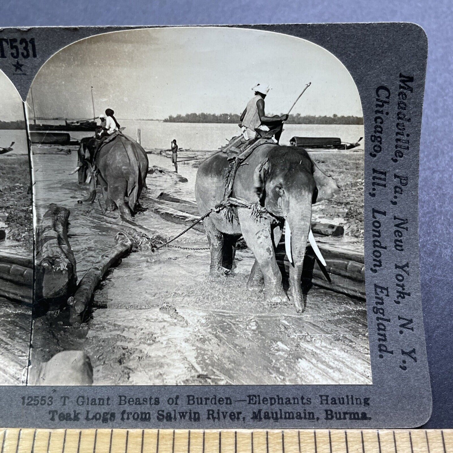 Antique 1909 Men Riding Elephants In Myanmar Stereoview Photo Card V2893