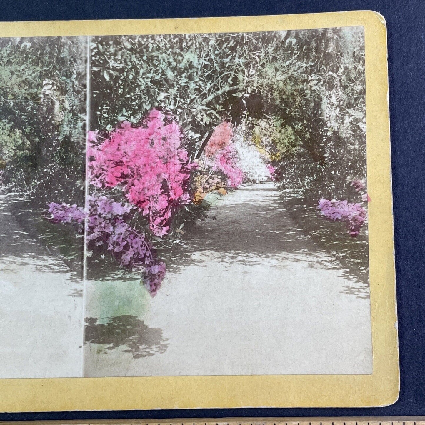 Entrance of John Grimke Drayton Stereoview Charleston South Carolina c1870 Y1327