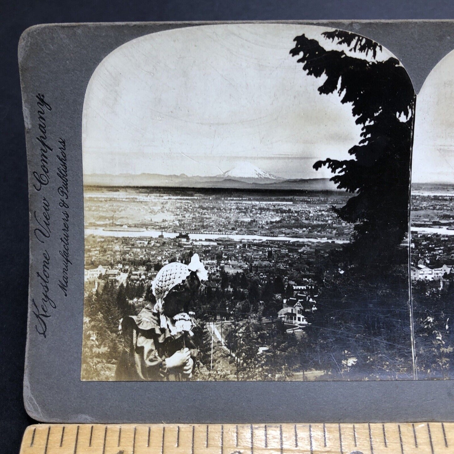 Antique 1898 Portland Oregon City View Birds Eye Stereoview Photo Card P1955