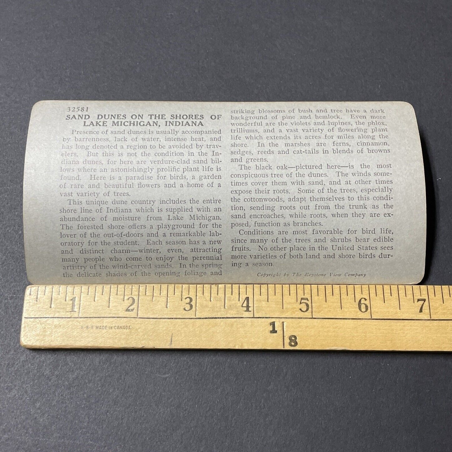 Antique 1920s Sand Dunes Near Beverly Shores Indiana Stereoview Photo Card V1820