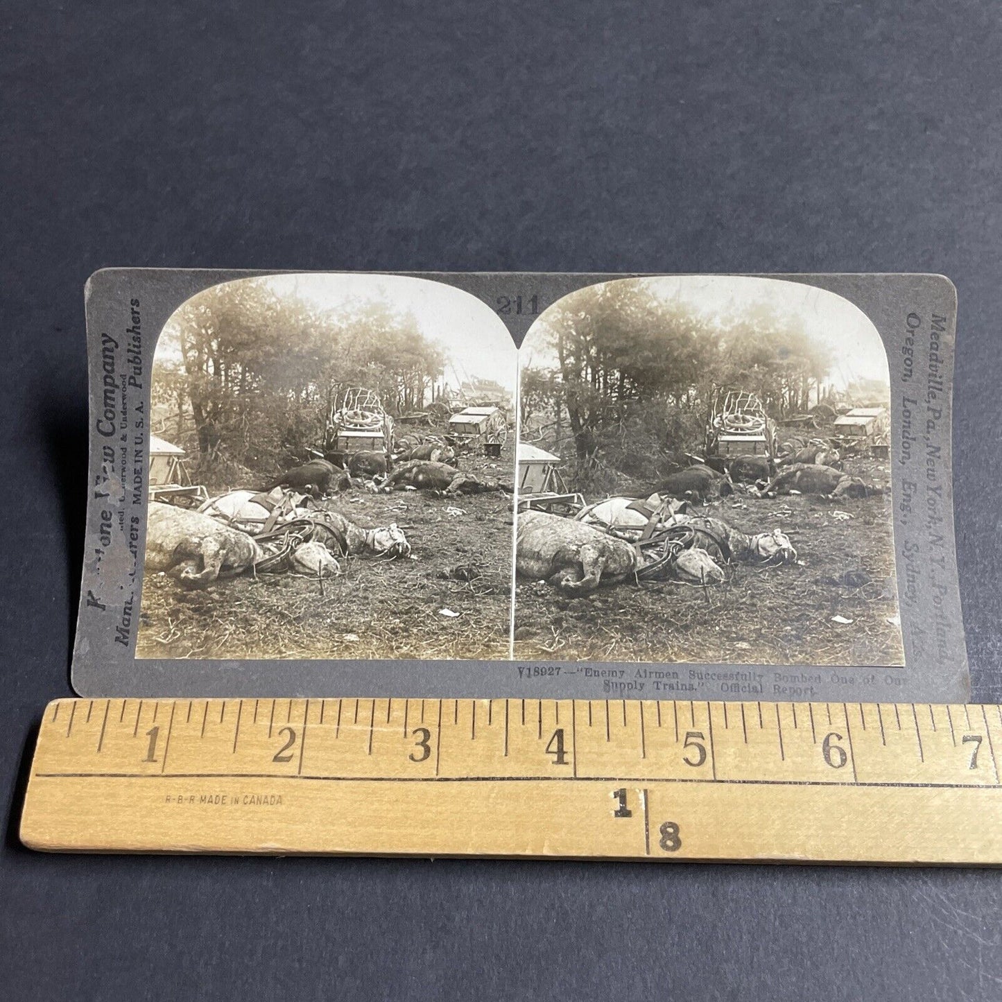 Antique 1916 Germans Bomb US Cavalry WW1 Dead Horses Stereoview Photo Card P4353