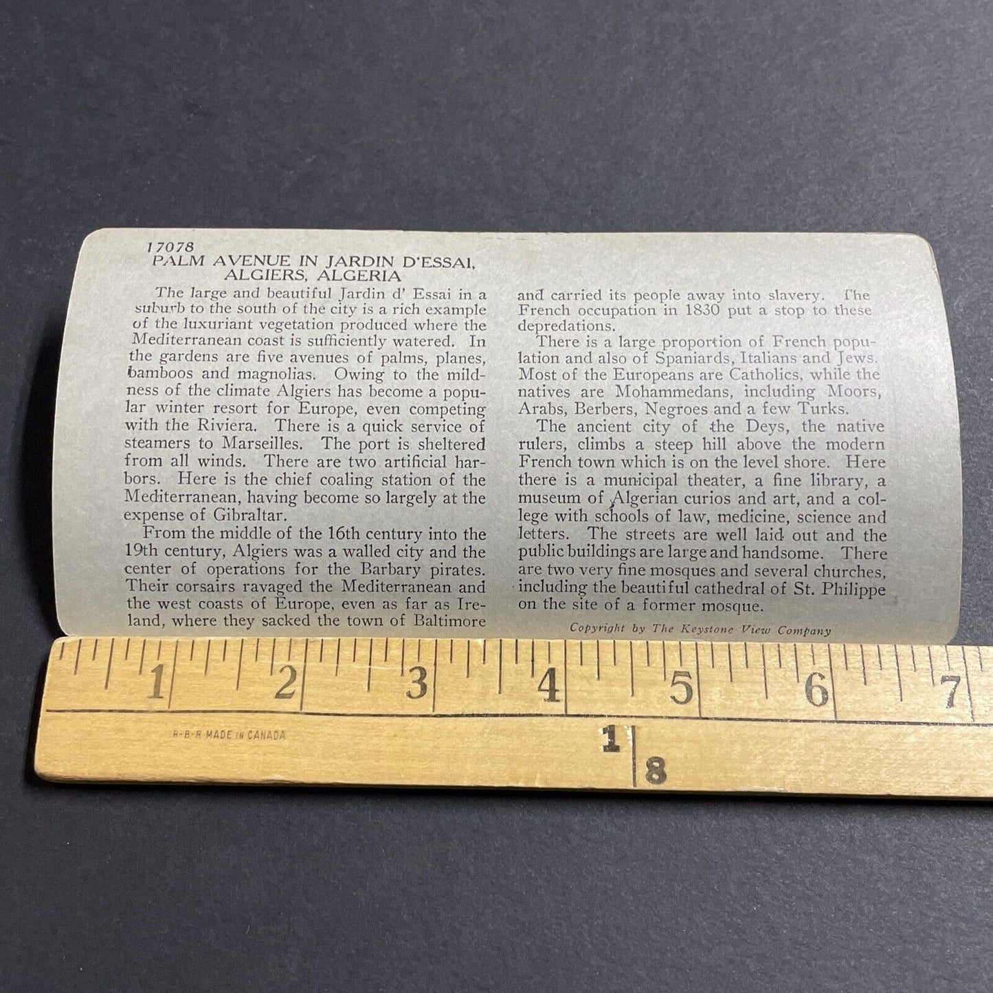 Antique 1920s Algerian Boy In Algiers Algeria Stereoview Photo Card P5104