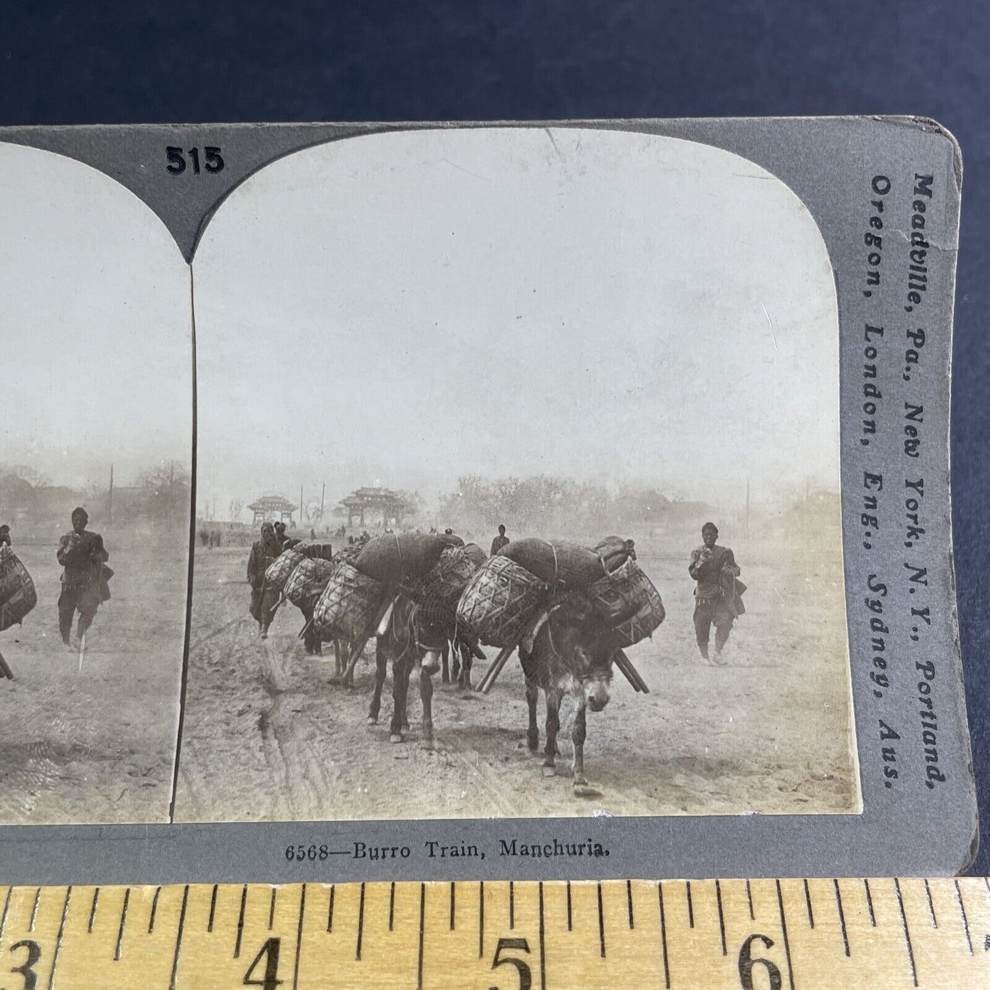 Antique 1905 Donkeys Hauling Rice In China Stereoview Photo Card P2164