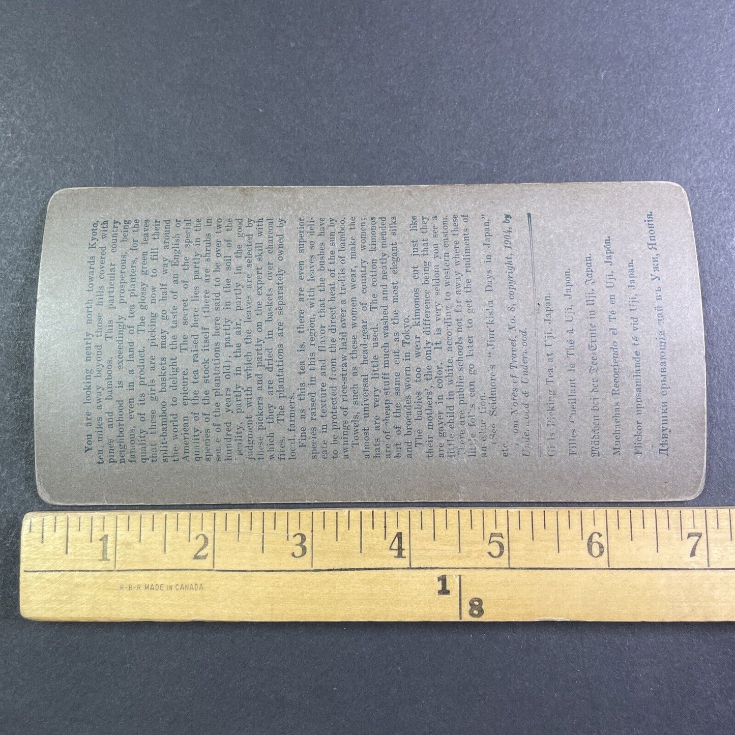 Picking Tea Leaves on a Farm Uji Japan Stereoview Antique c1904 Y2586