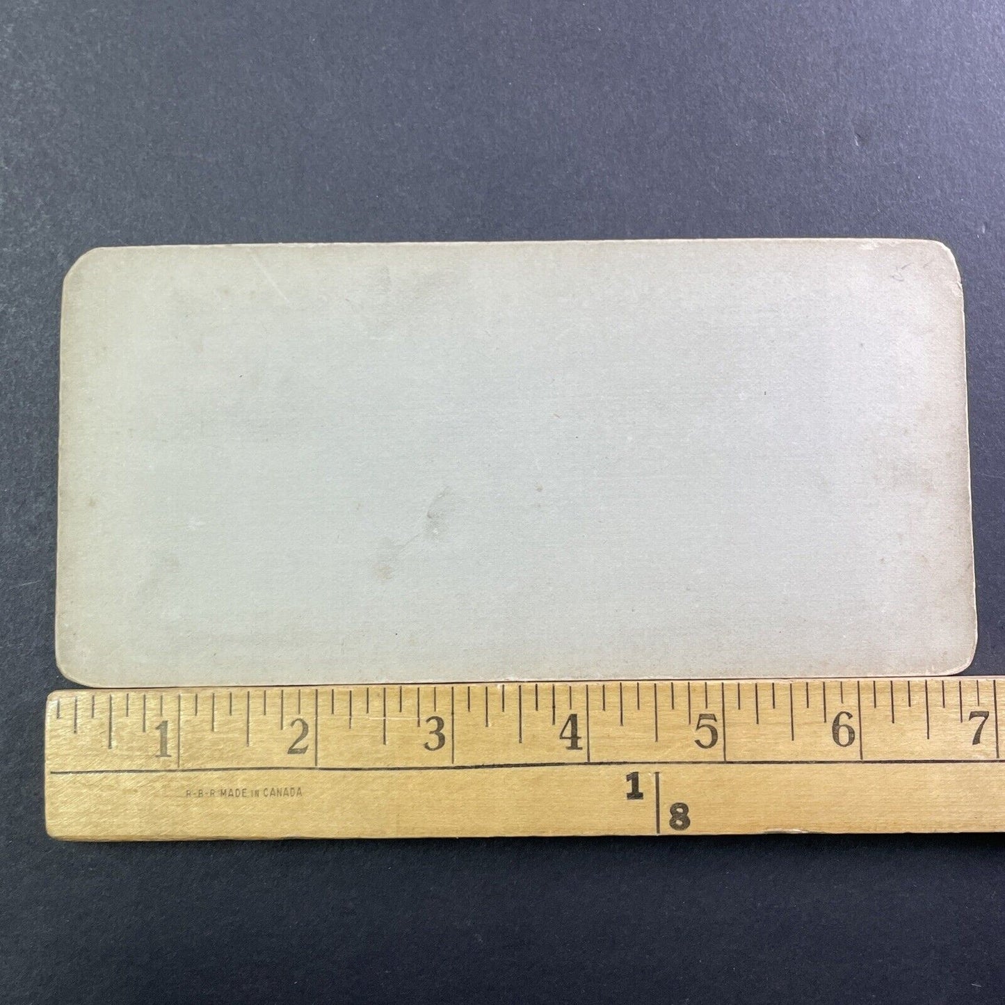 Fallen Trees Watkins Glen Stereoview Charles Bierstadt Photo Antique c1872 X991