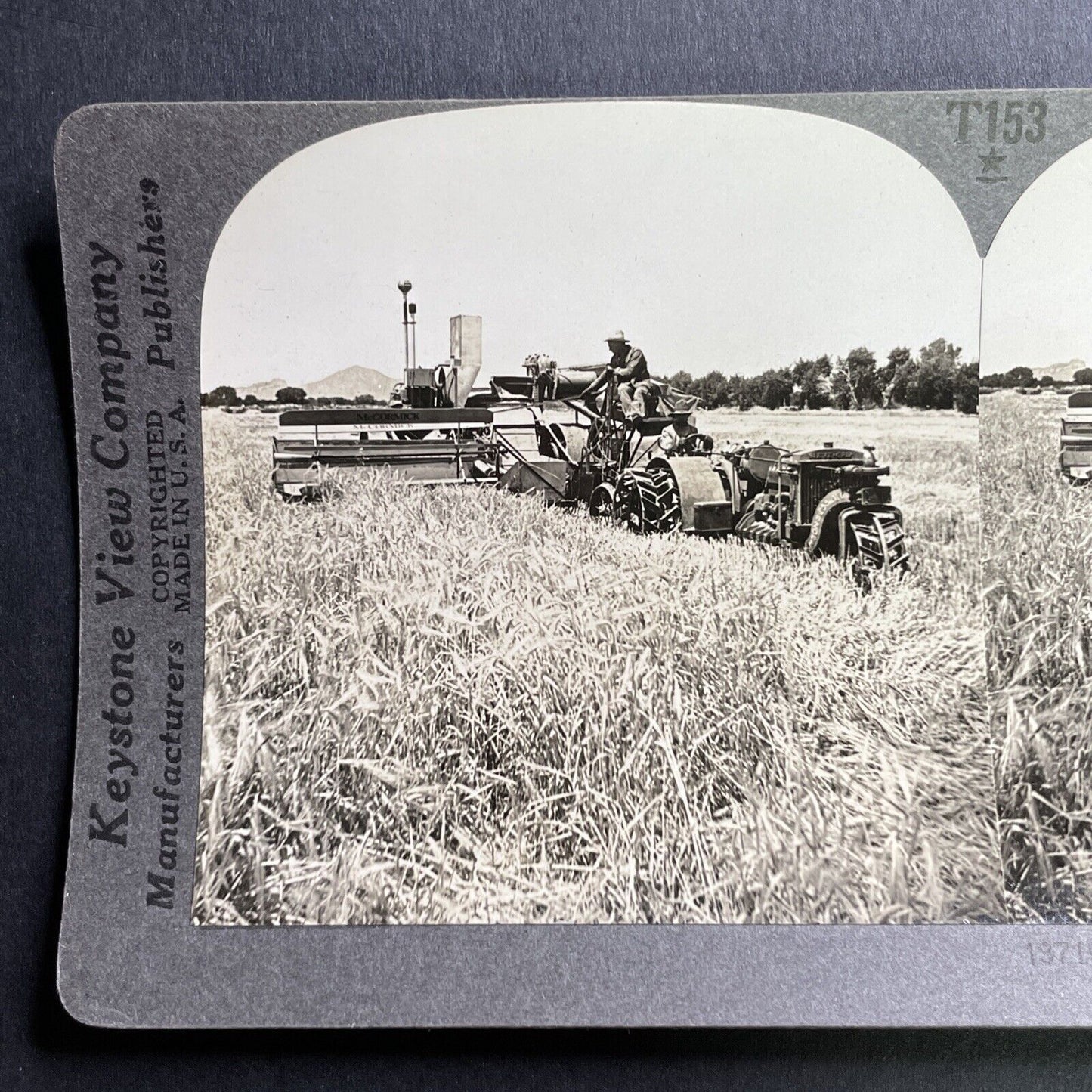 Antique 1918 Barley Farming Fort Collins Colorado Stereoview Photo Card P1626