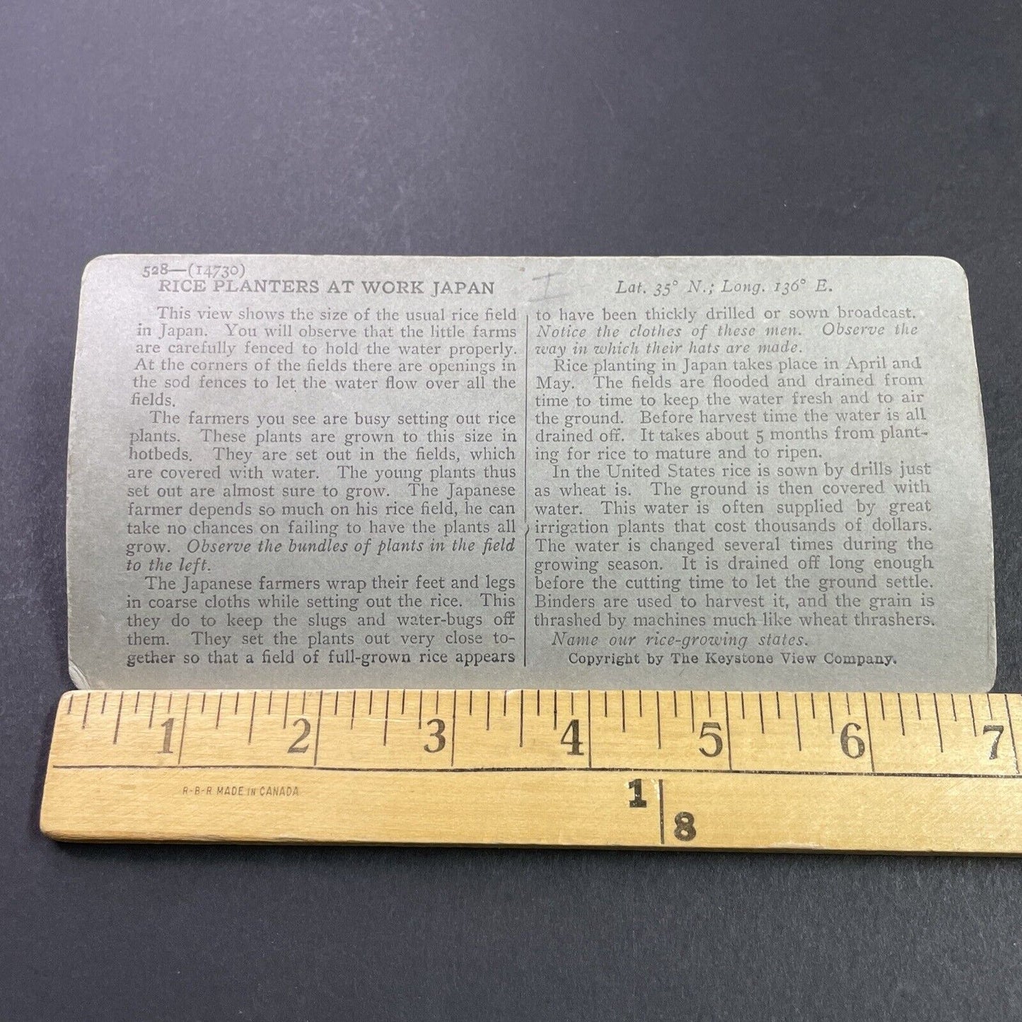 Antique 1910s Planting Rice In Flooded Fields Japan Stereoview Photo Card P3701