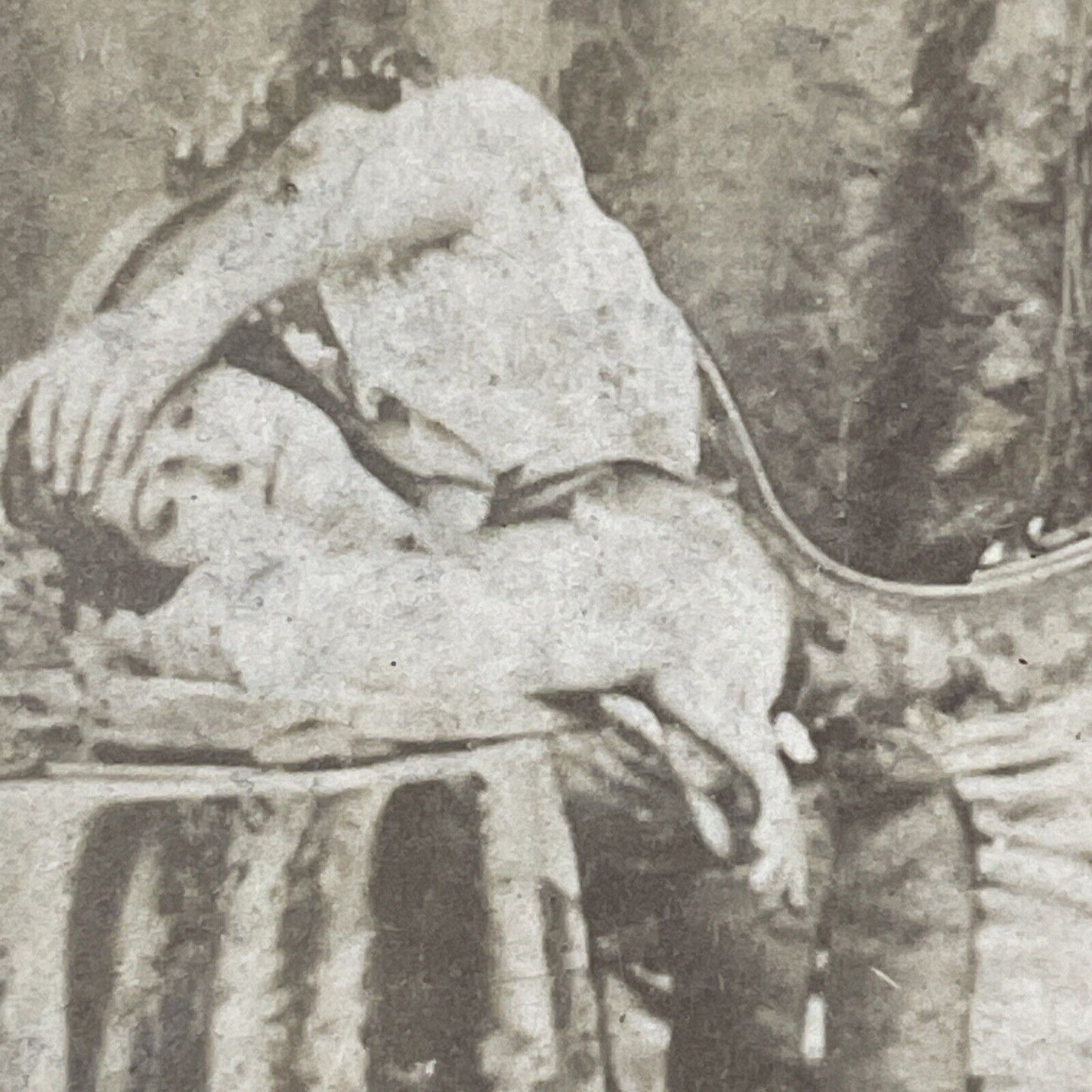 Risque Nude Topless Woman Queen Of The Harem Stereoview Antique c1880 X1257