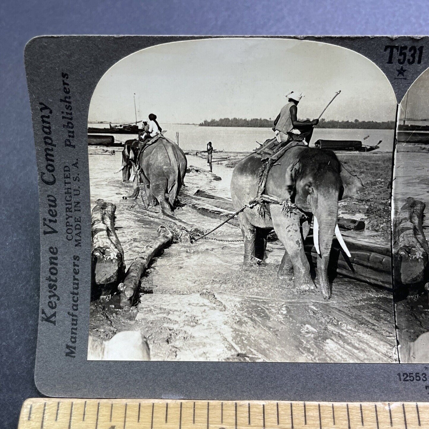 Antique 1909 Men Riding Elephants In Myanmar Stereoview Photo Card V2893