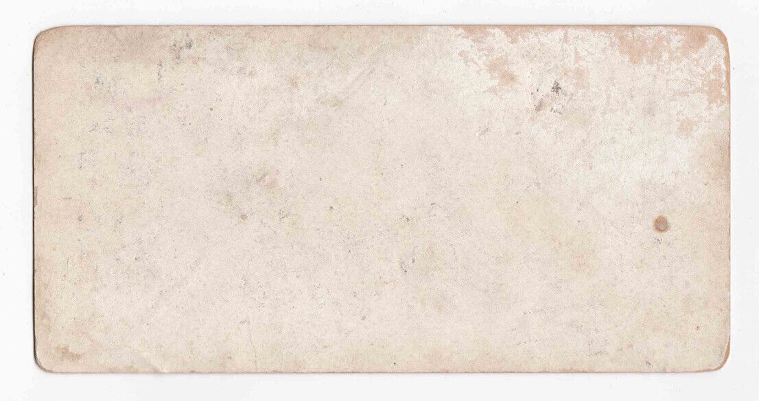 Antique 1903 Swinger Garden And Royal Palace Dresden, Germany Stereo Card P299