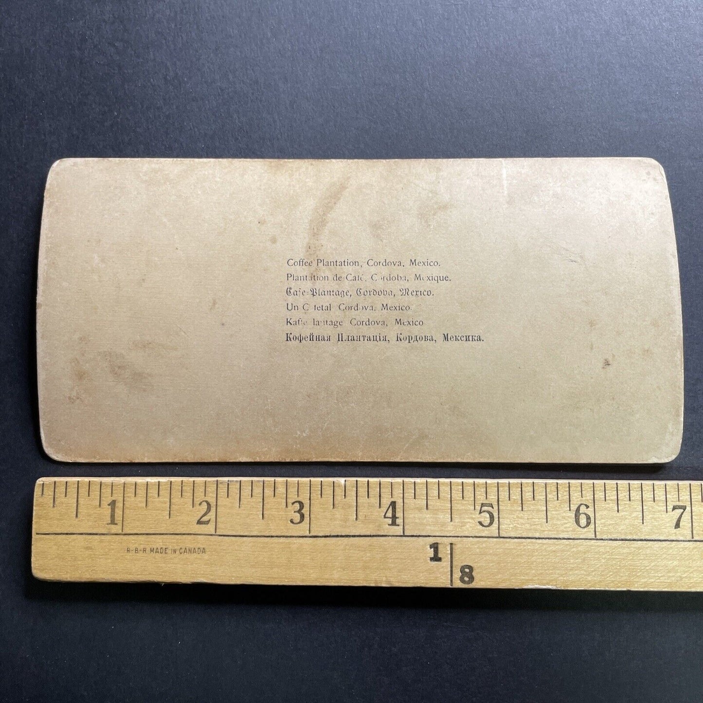 Antique 1890 Coffee Plantation Cordoba Mexico Stereoview Photo Card P1770