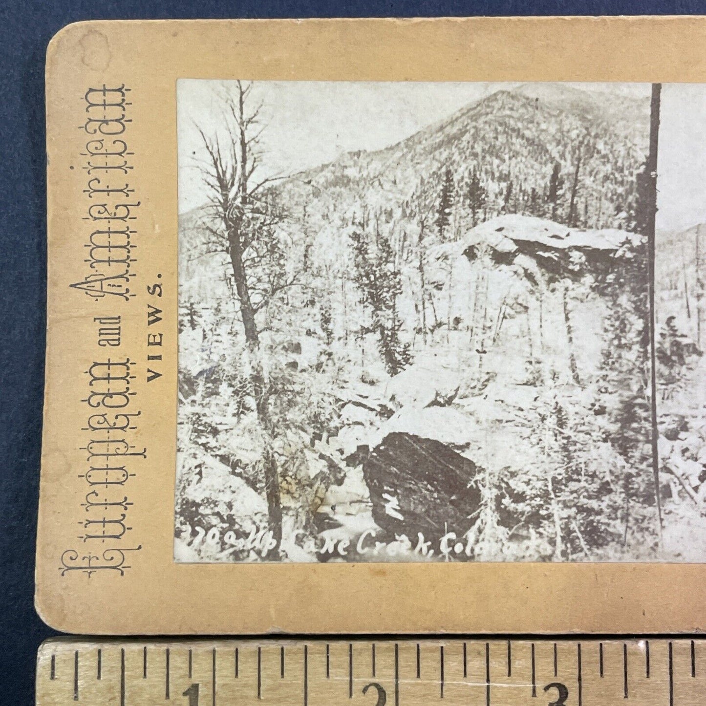Lake Creek Mountains Wolcott Colorado Stereoview Photo Card Antique c1880 X1304