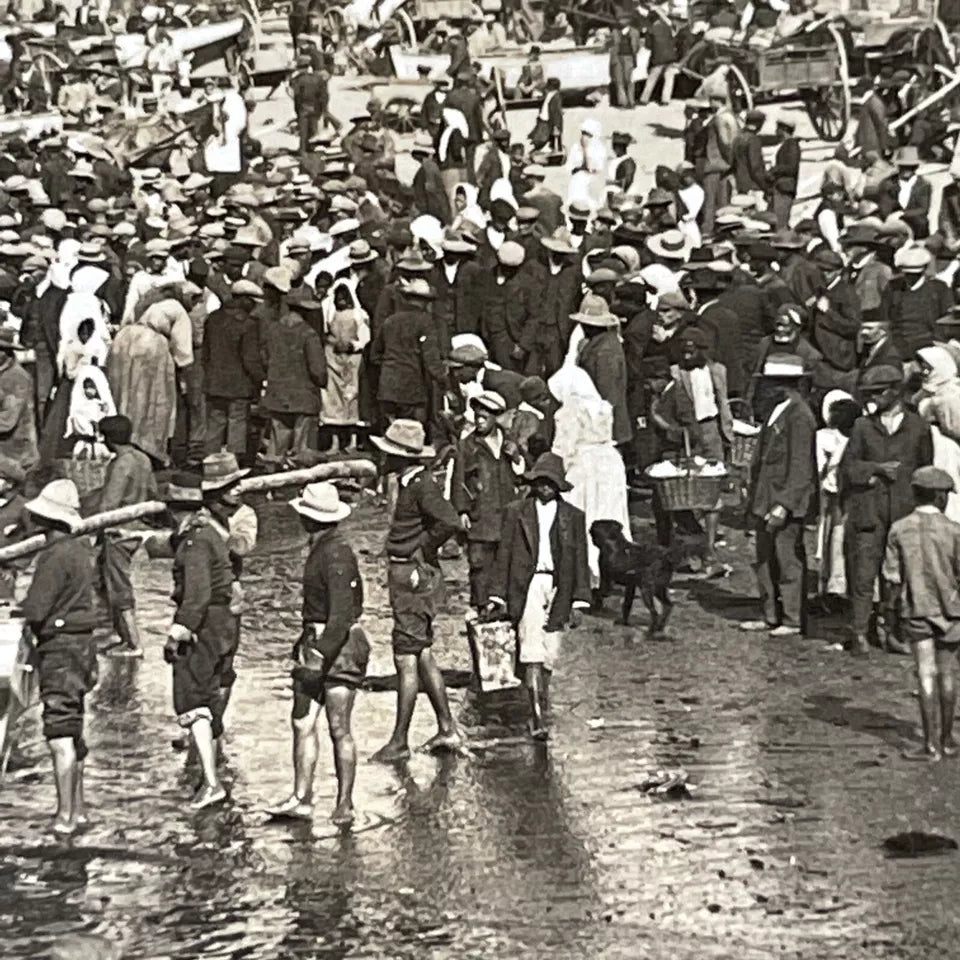 Africa Stereoviews (See 'War' Category For Boer War)