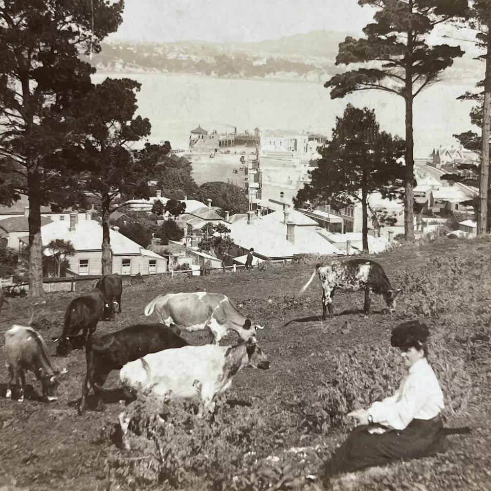 New Zealand And Oceana Stereoviews