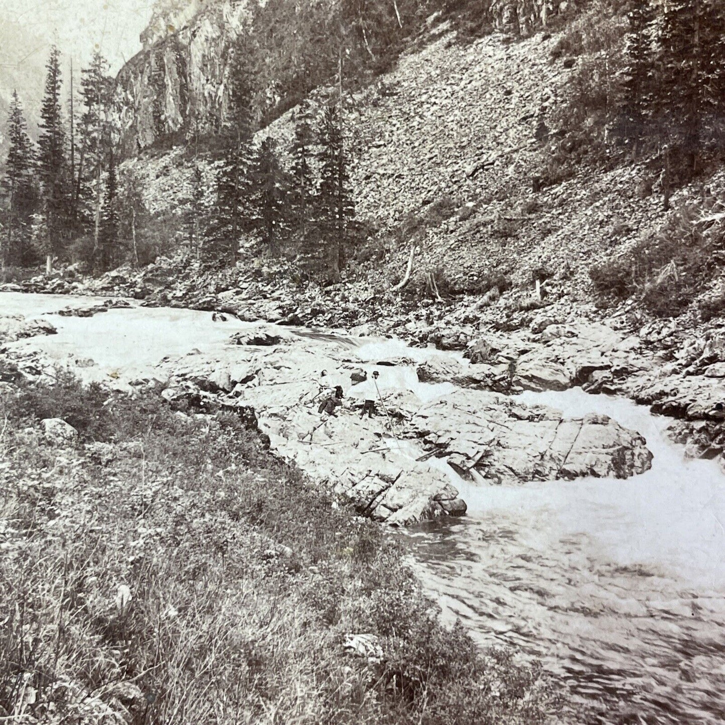 Kumir River Altai Siberia Russia Stereoview IR Tomashkevich Antique c1896 X2622