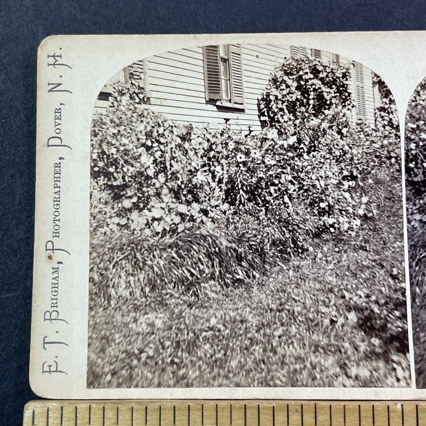 Manning House Garden Wolfeboro NH Stereoview ET Brigham Antique c1875 X1206