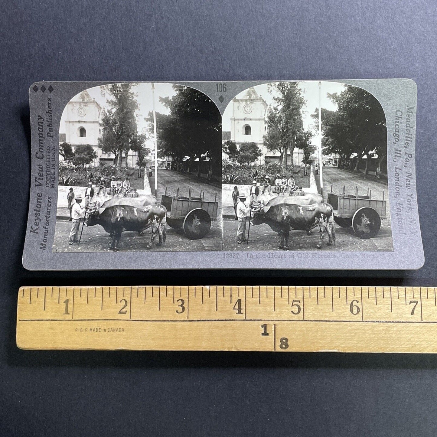 Antique 1918 Cattle Pulling Cart Heredia Costa Rica Stereoview Photo Card P1563