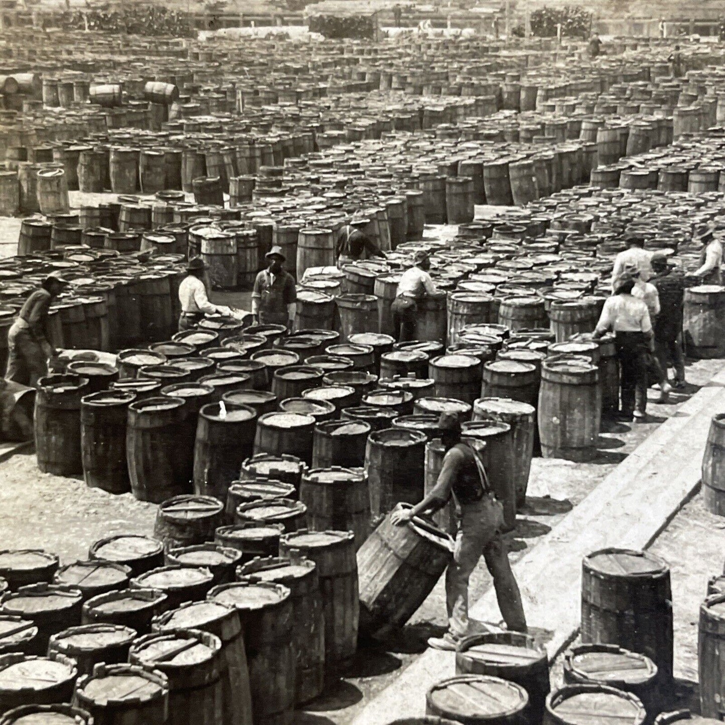 Antique 1910s Ink & Wax Barrels In Savannah Georgia Stereoview Photo Card P4275