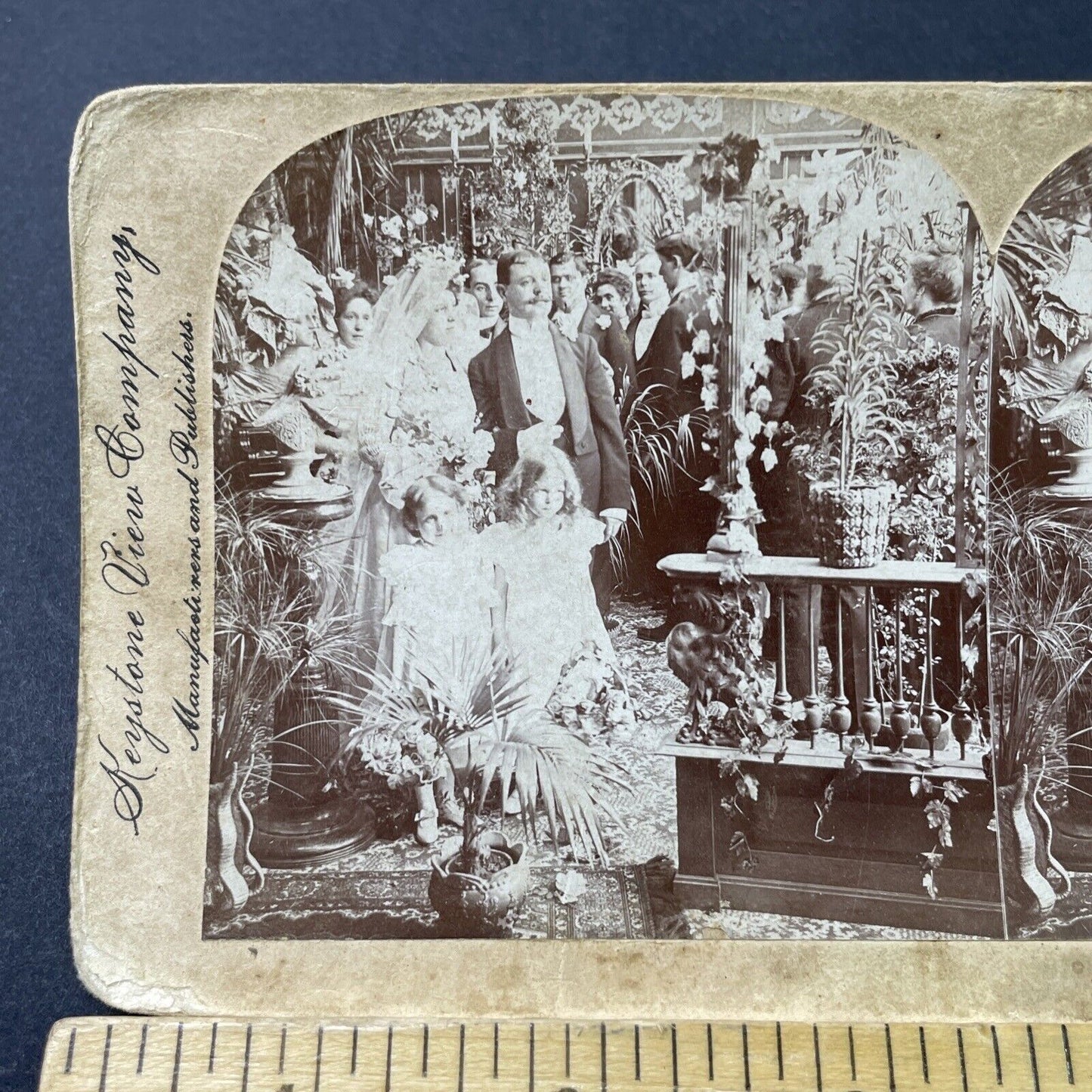 Antique 1901 Victorian Bride & Groom & Flower Girls Stereoview Photo Card P2961