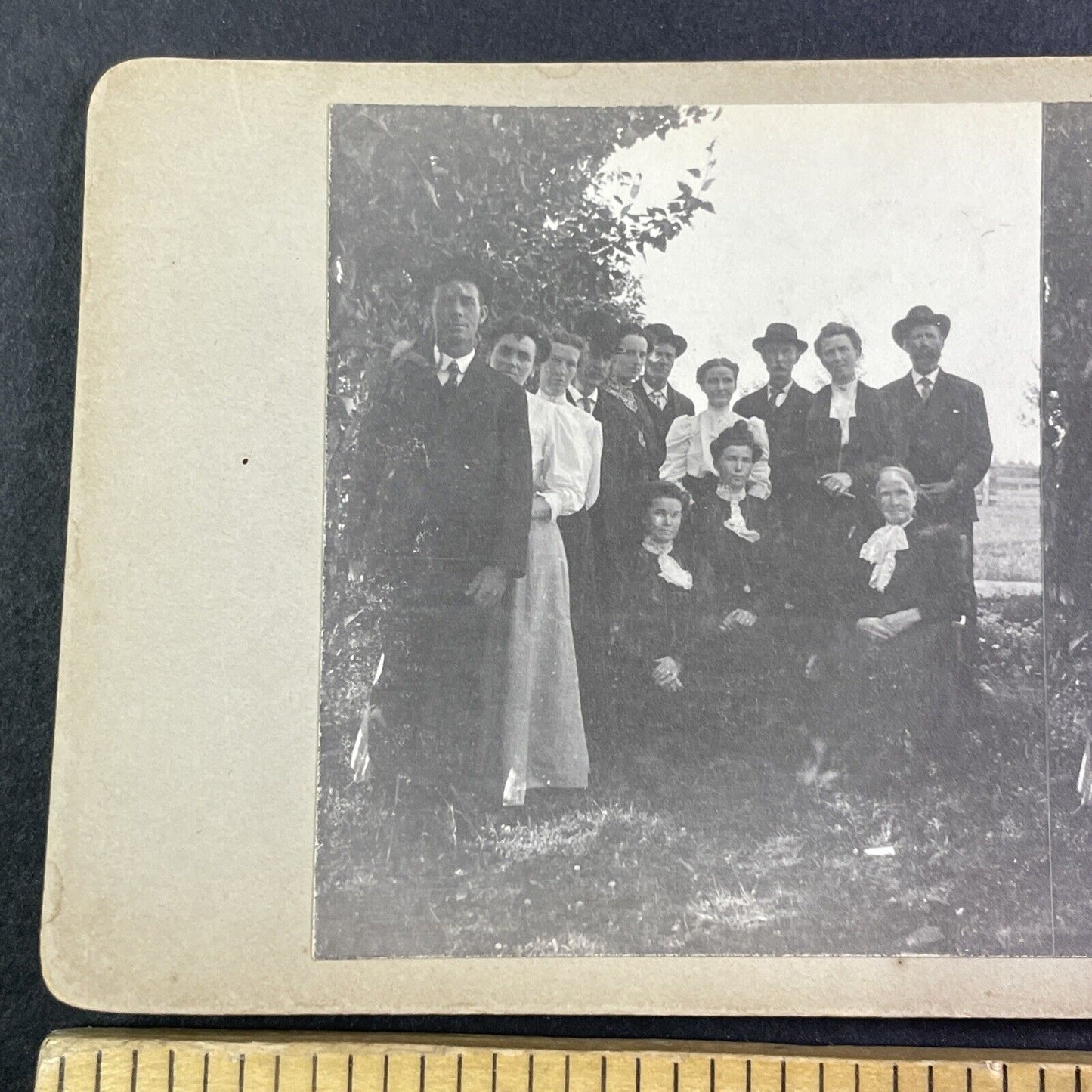 A Political Bunch Stereoview Ottawa? Canada? OOAK Antique c1908 Y2728