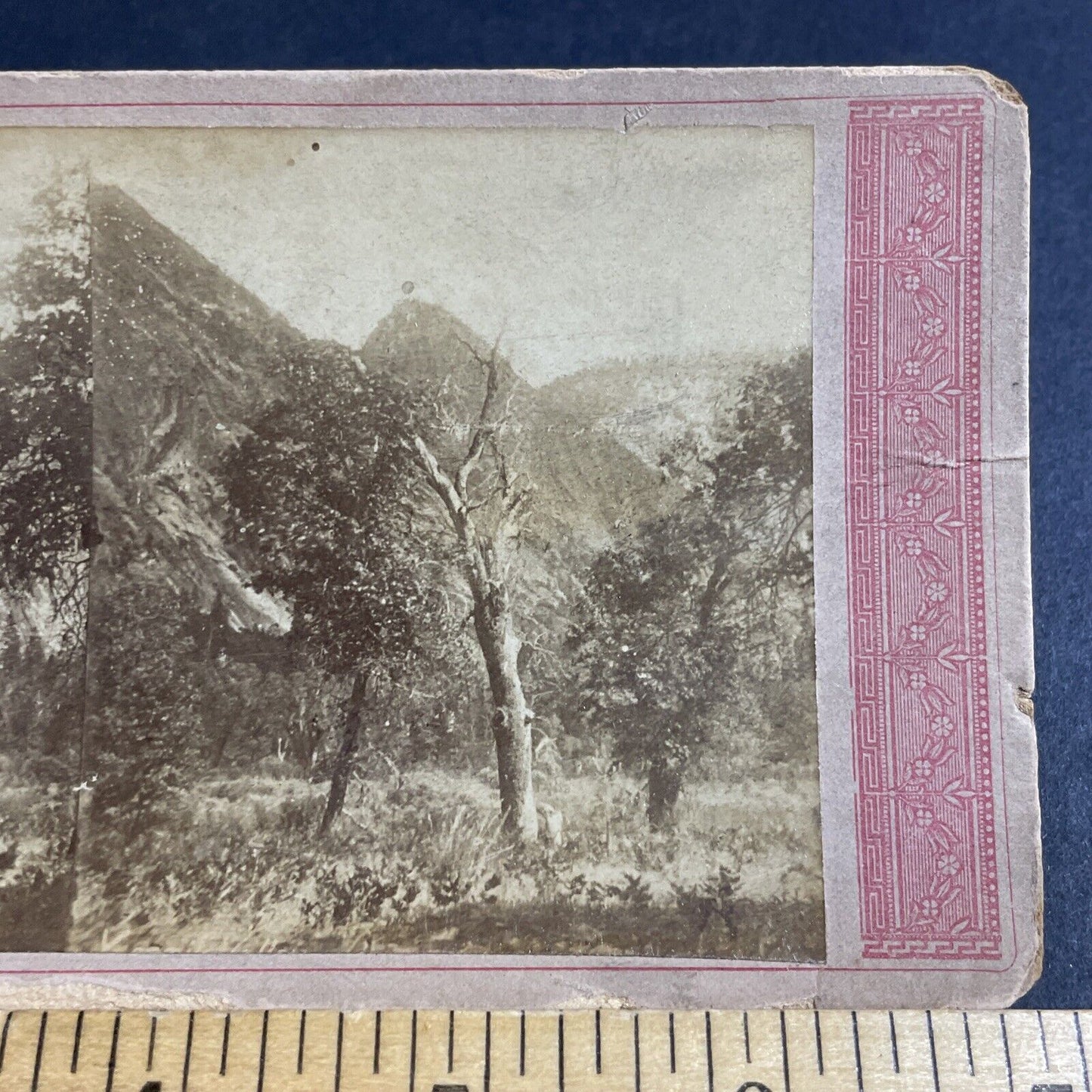 Antique 1870s Yosemite Park California Stereoview Photo Card P4781