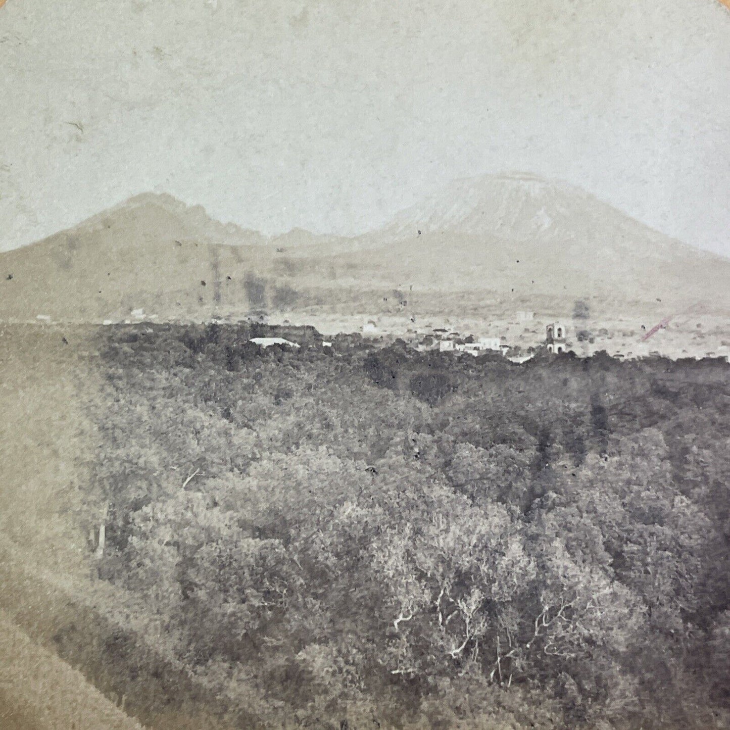 Mount Vesuvius Volcano View From Naples Stereoview Antique c1880 X1595