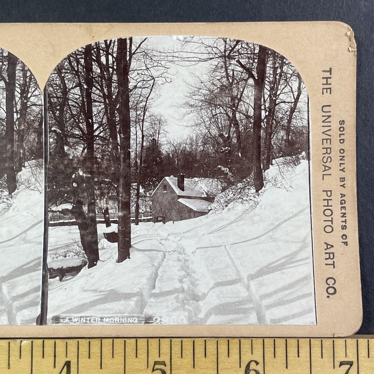 Winter Snowstorm Near Philadelphia Stereoview CH Graves Antique c1898 X2832