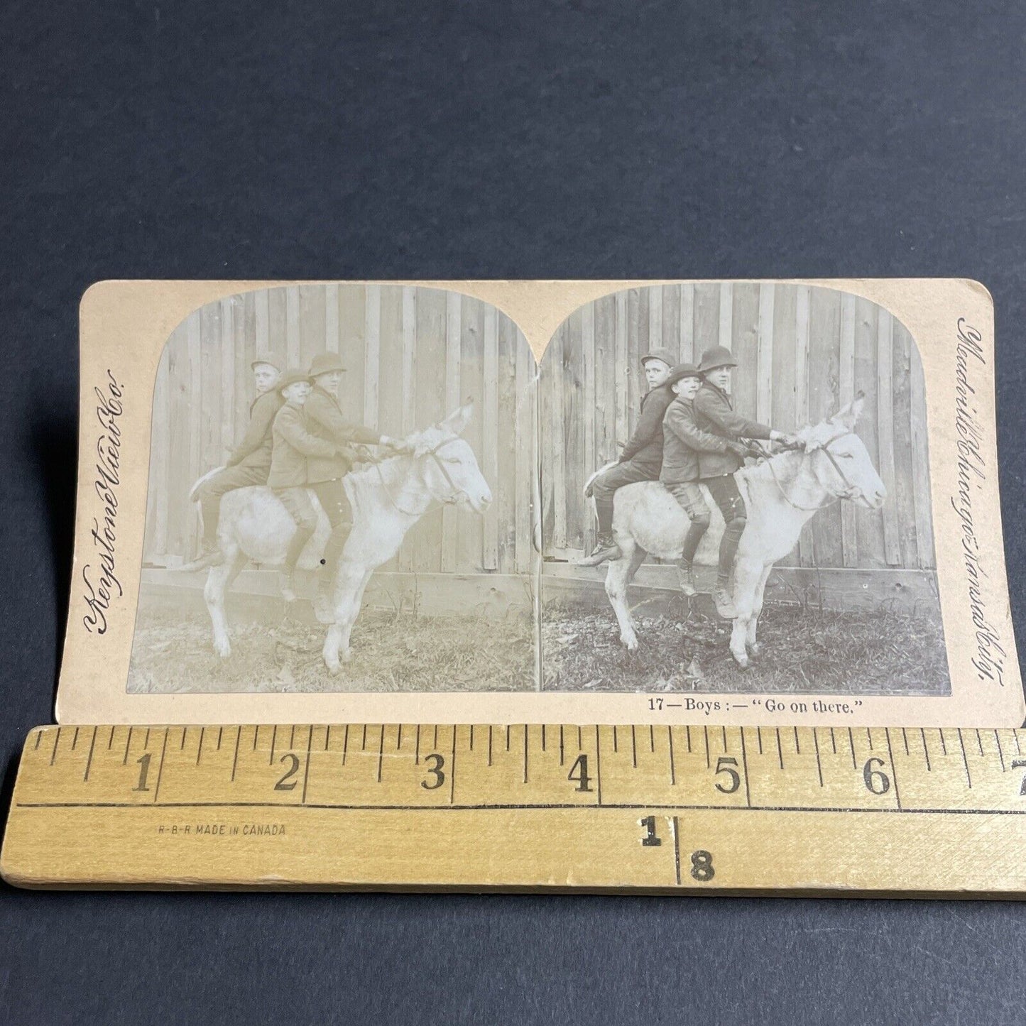 Antique 1880s Boys Mount A Donkey The Wrong Way Stereoview Photo Card P4701