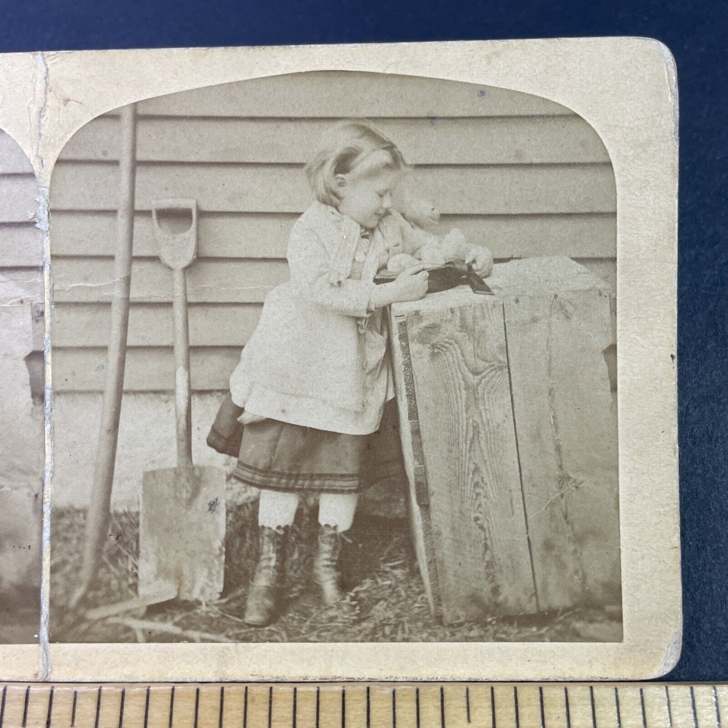 Antique 1880s Young Girl Saves Small Chicks Chickens Stereoview Photo Card P3341