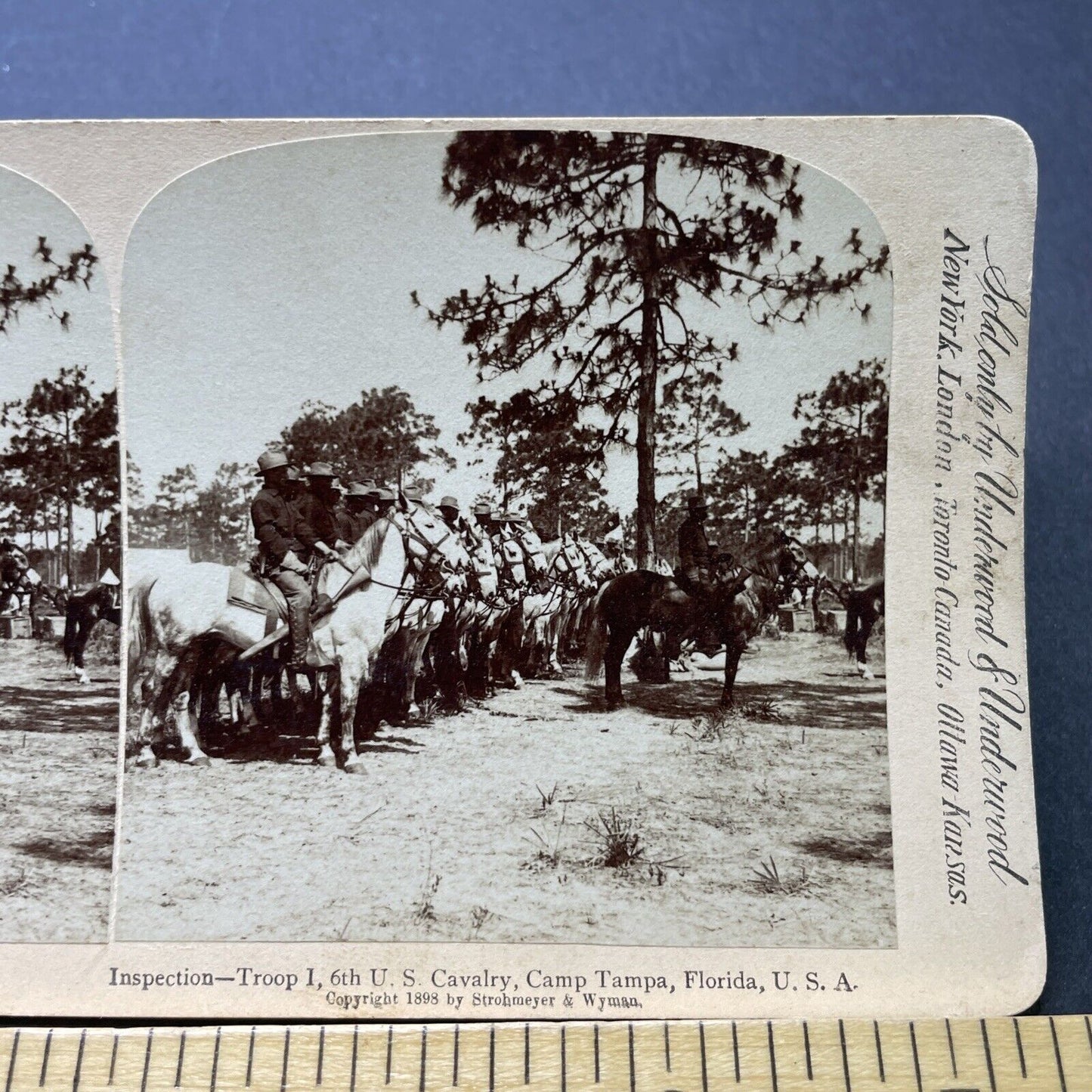 Antique 1898 6th US Cavalry In Tampa Bay Florida Stereoview Photo Card P2361