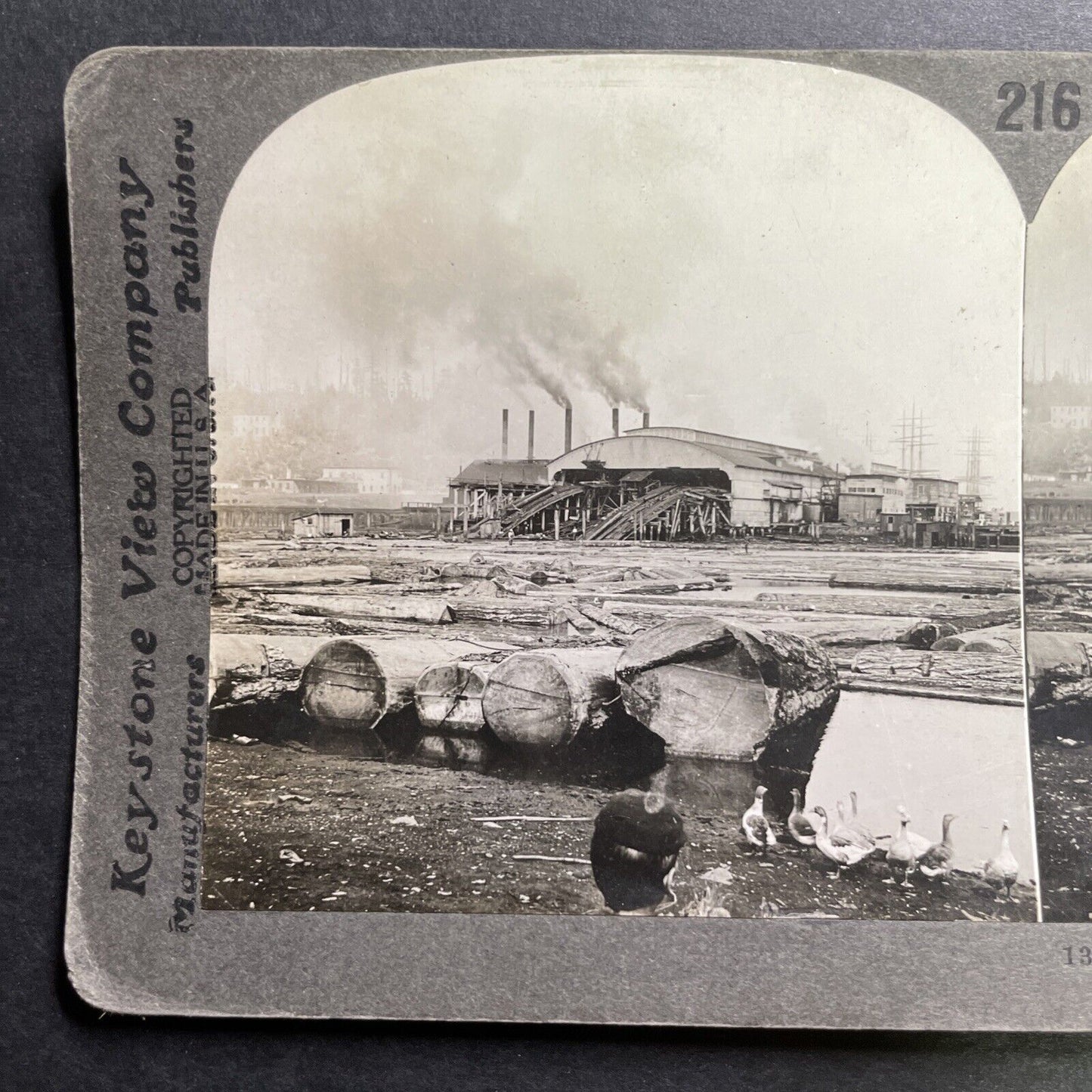 Antique 1914 Huge Lumber Mill Puget Sound Washington Stereoview Photo Card P1427