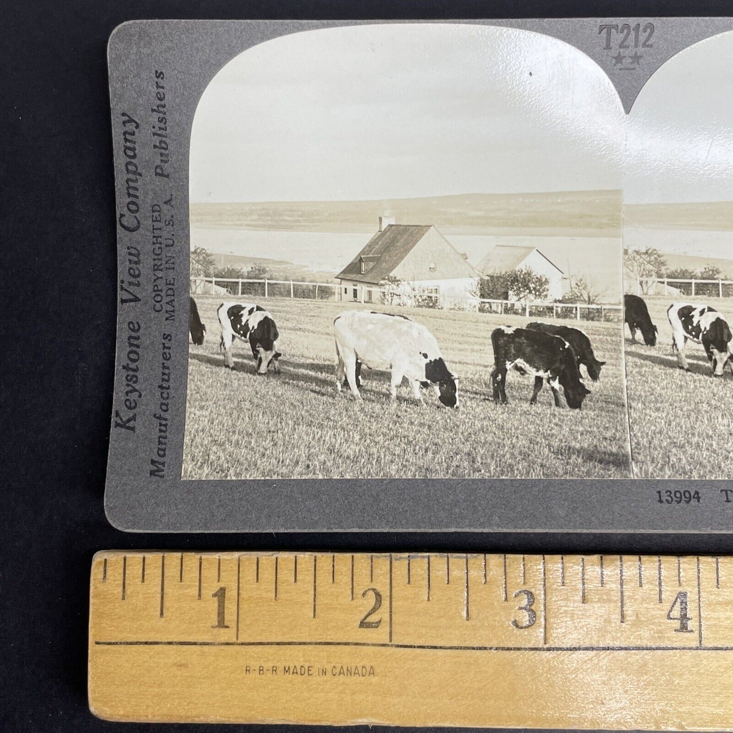 Antique 1905 Quebec Dairy Farm On St. Lawrence Stereoview Photo Card PC853