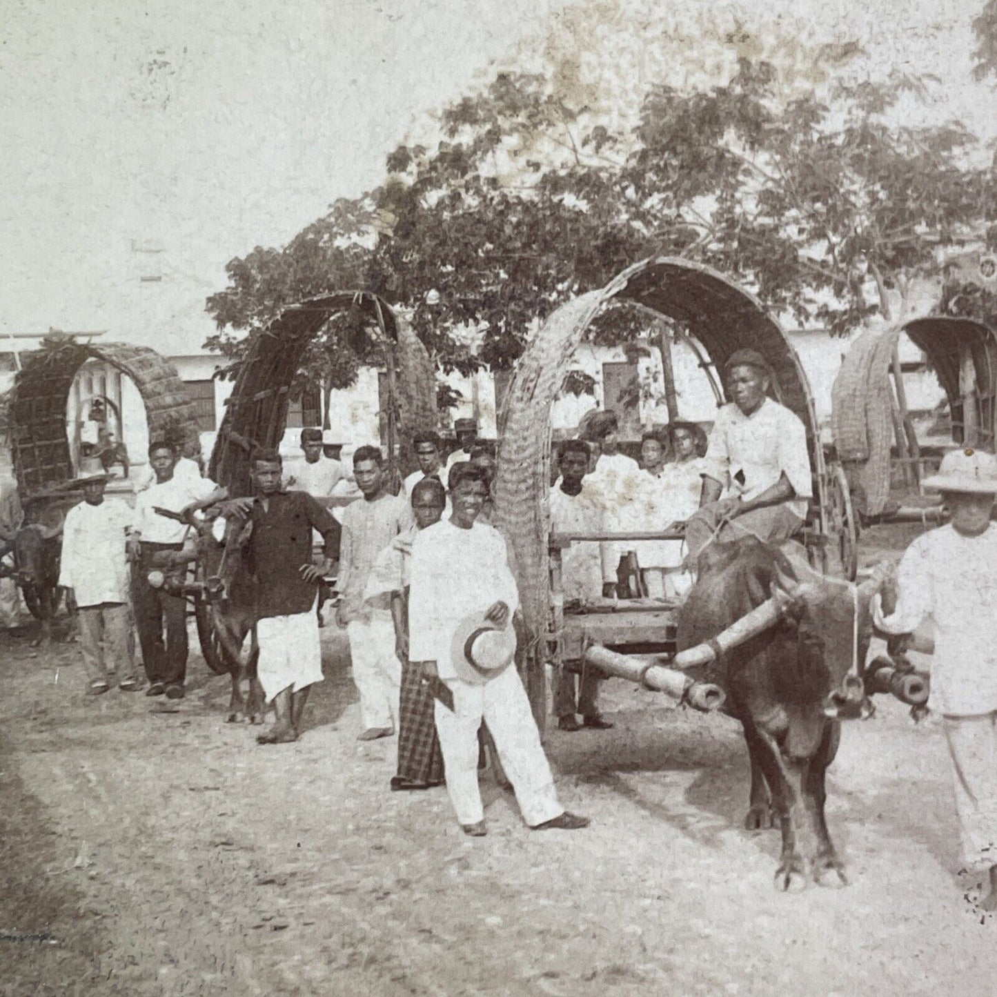 Carabao Drawn Native Wagons Stereoview The Philippines Antique c1900 Y131