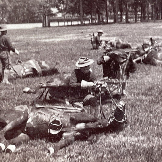 Antique 1901 US Cavalry Trains Horses To Play Dead Stereoview Photo Card V3275