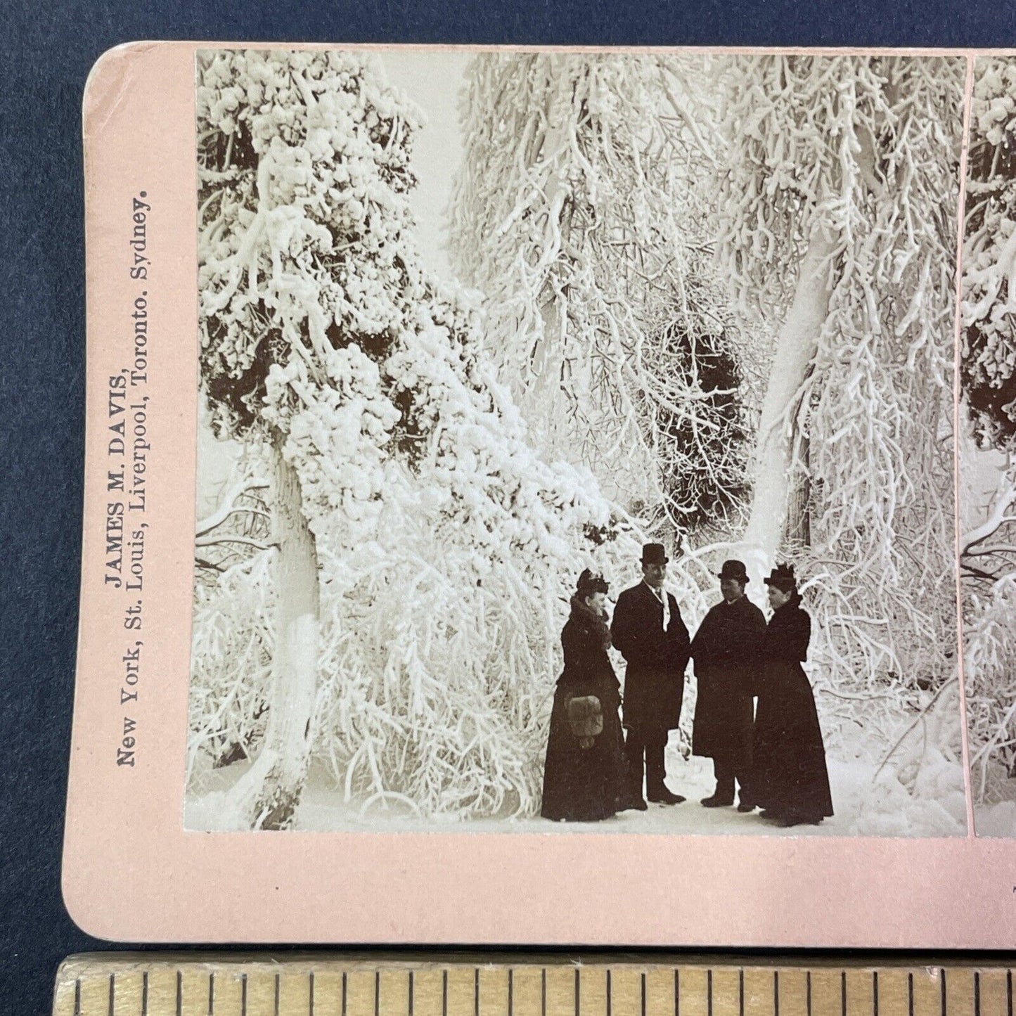 Tourists Visit Frozen Niagara Park for a Wedding Stereoview Antique c1893 Y1861