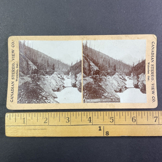 Beaver Canyon Station British Columbia Stereoview CPR Rail Views c1899 Y2113