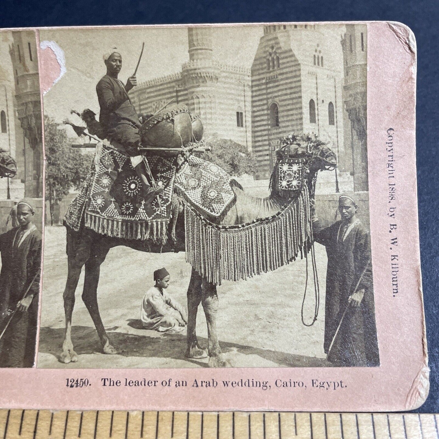 Antique 1898 Man Plays Drums On A Camal In Cairo Stereoview Photo Card P4191