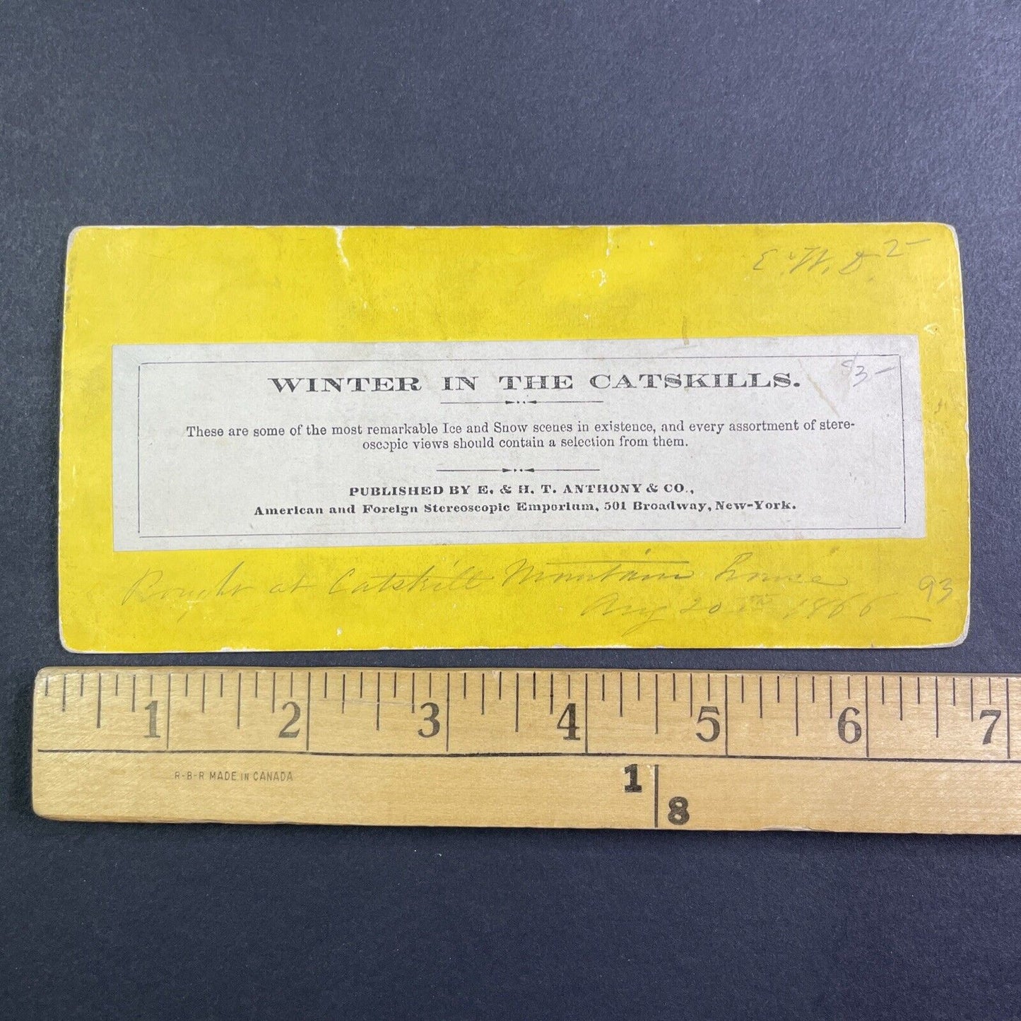 Catskill Mountains New York Winter Stereoview E & HT Anthony Antique c1866 Y1206