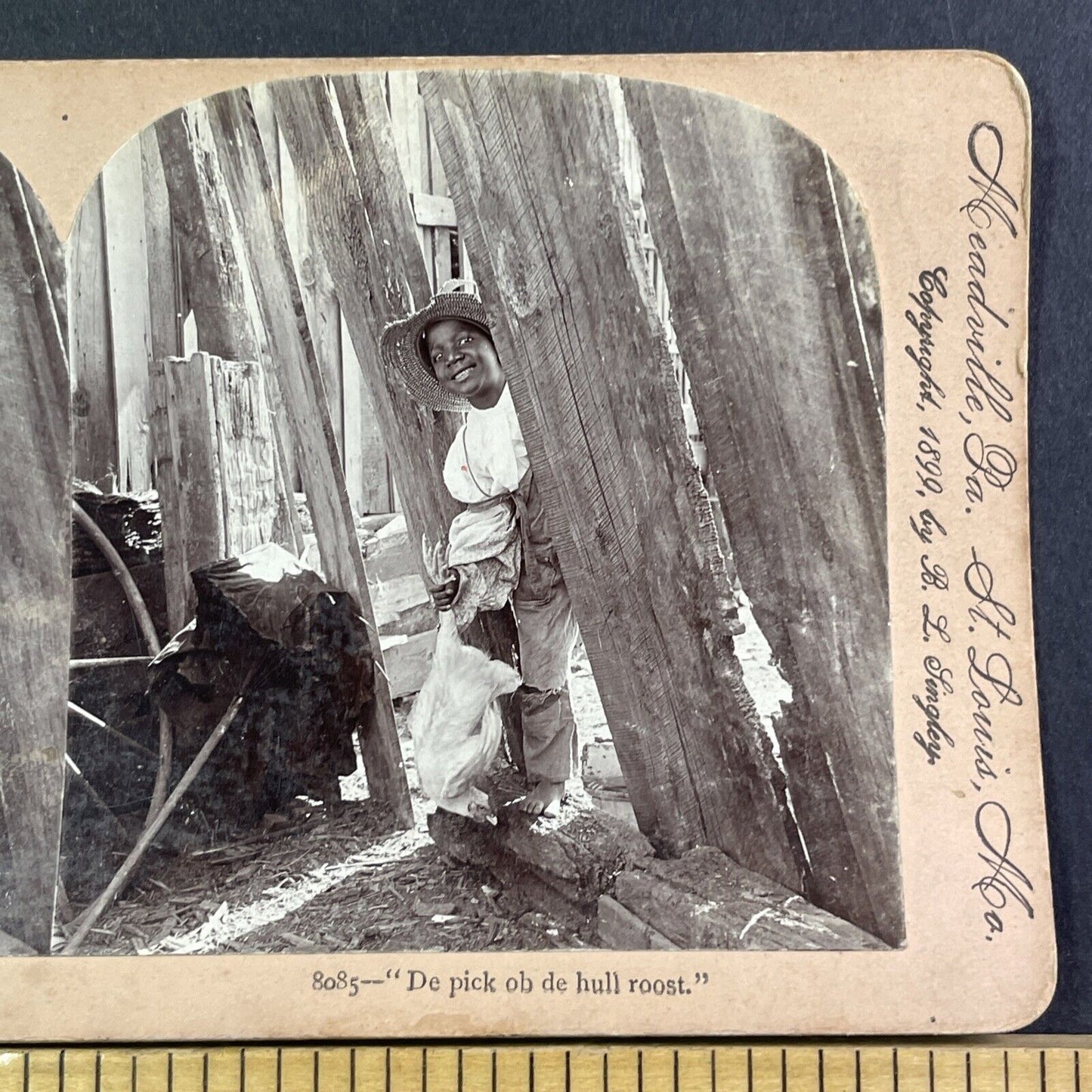 African American Farm Boy Catches A Chicken Stereoview Antique c1899 X2606