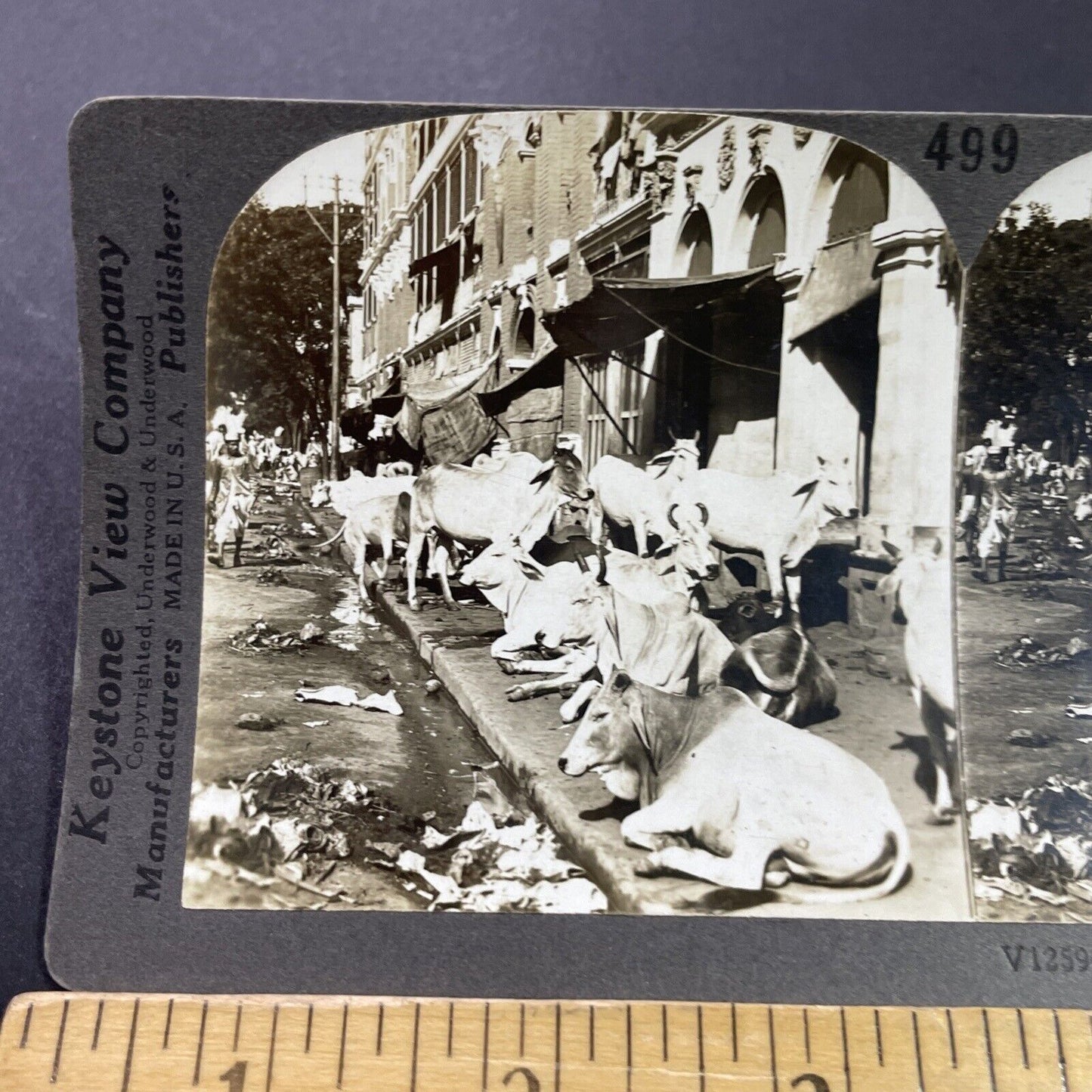 Antique 1910s Extreme Poverty In Calcutta India Stereoview Photo Card P3746