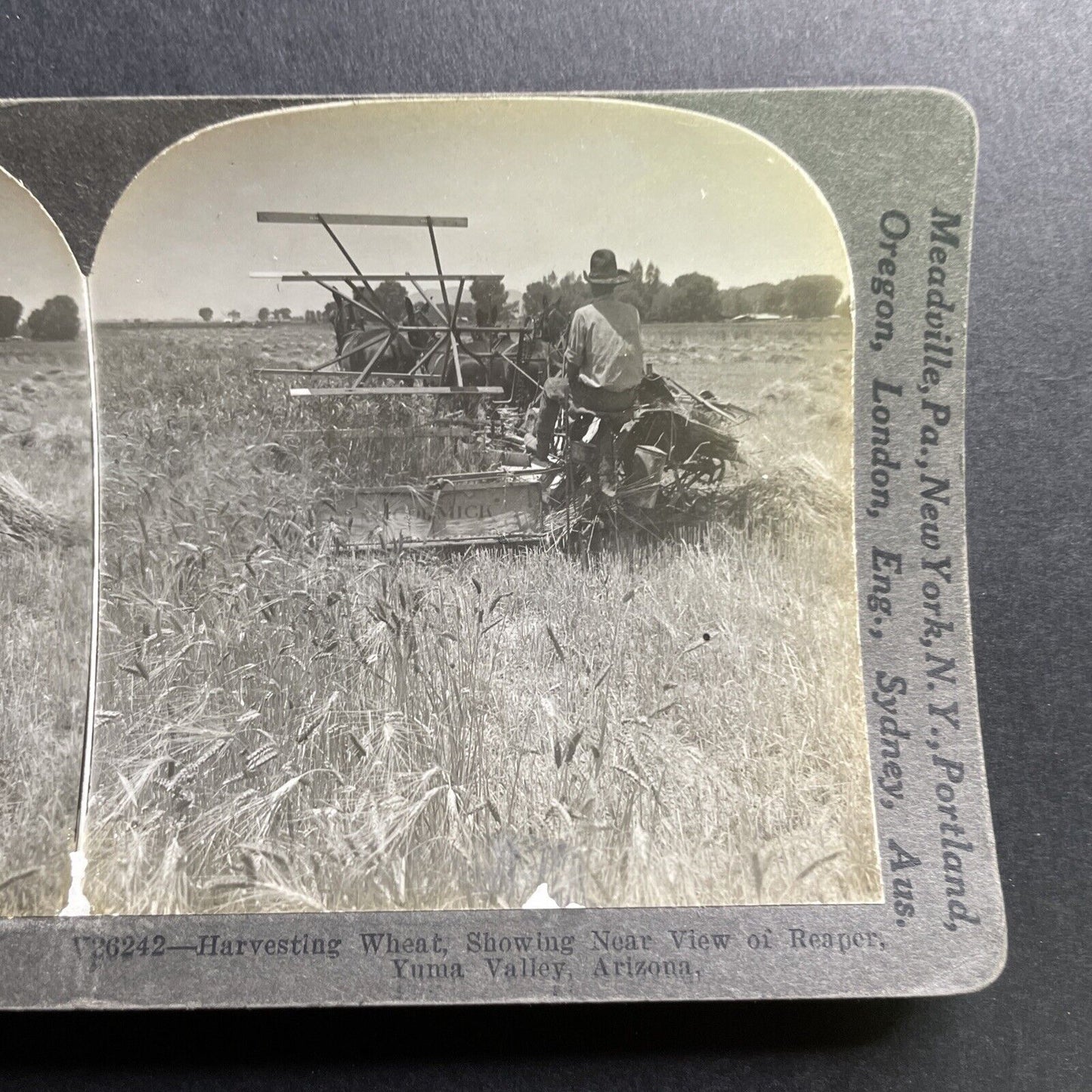 Antique 1918 Farming Wheat Yuma Valley Arizona Stereoview Photo Card P1733