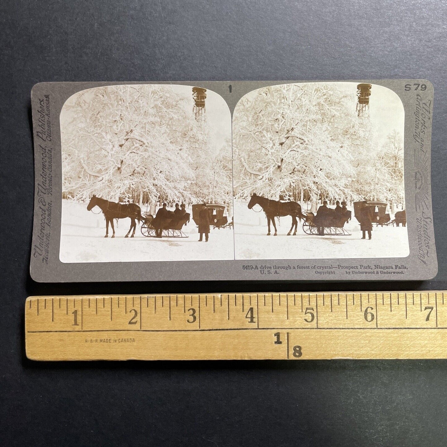 Antique 1905 Sleigh Rides In Niagara Falls New York Stereoview Photo Card P1393