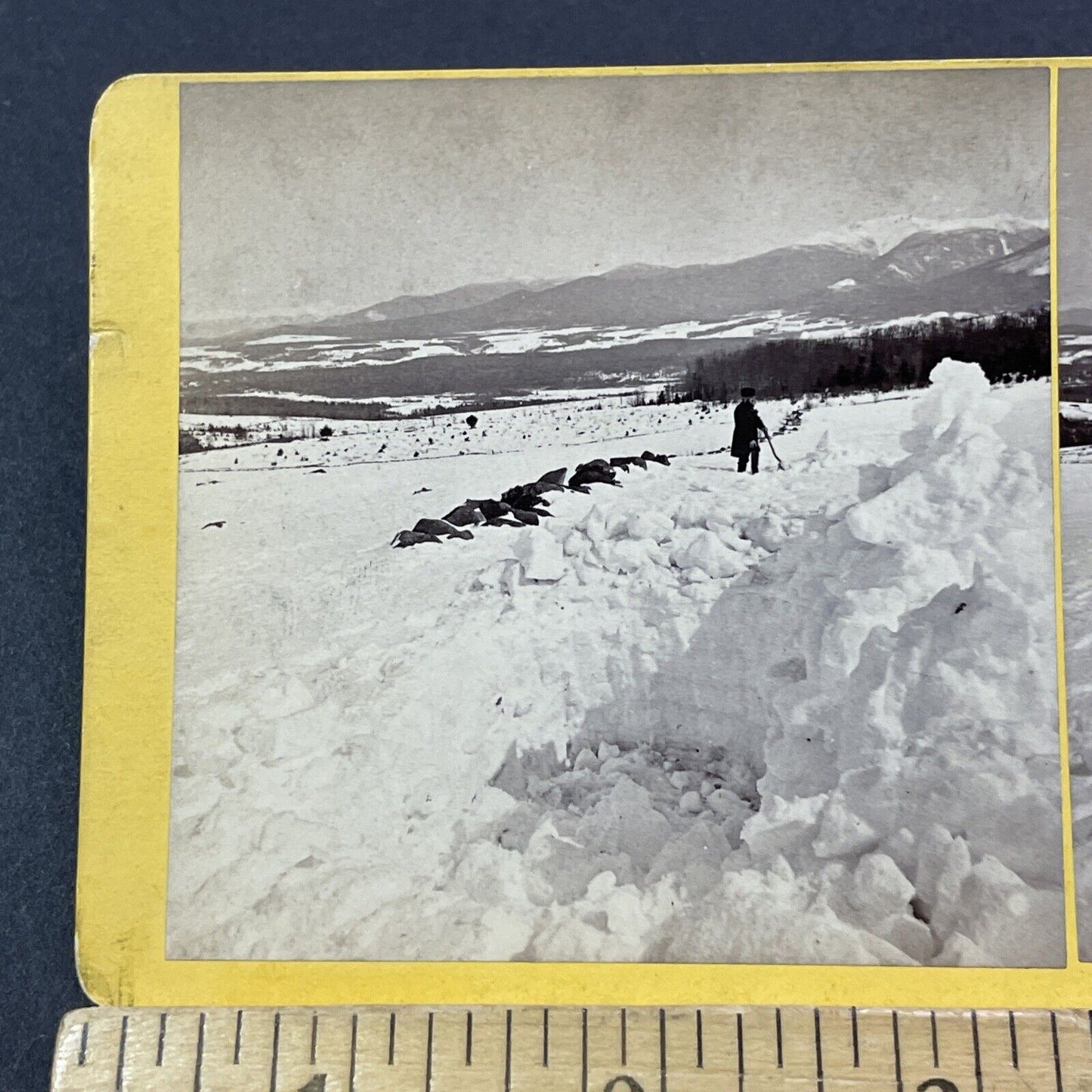 Antique 1874 Great Blizzard Of '74  Near Conway NH Stereoview Photo Card V1766