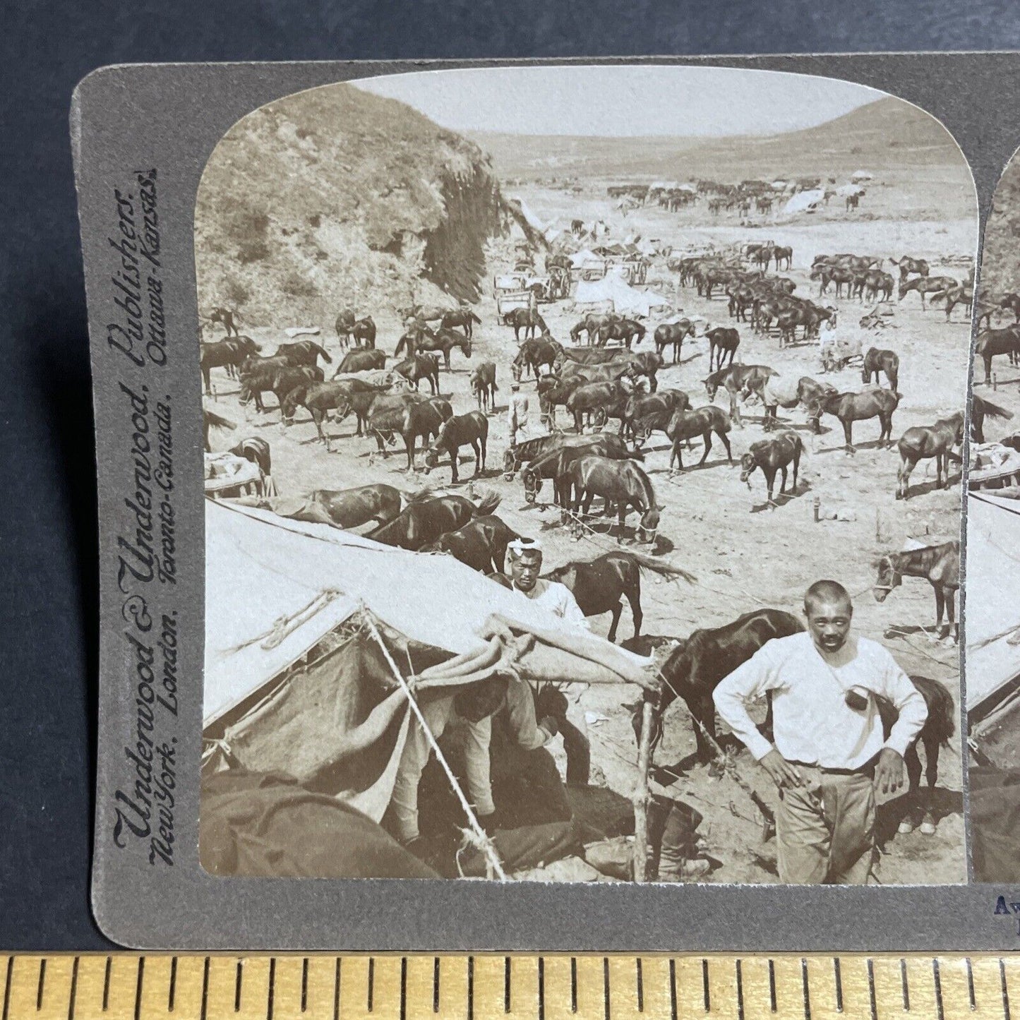 Antique 1904 Japan Army Cavalry Soldiers Stereoview Photo Card P5584