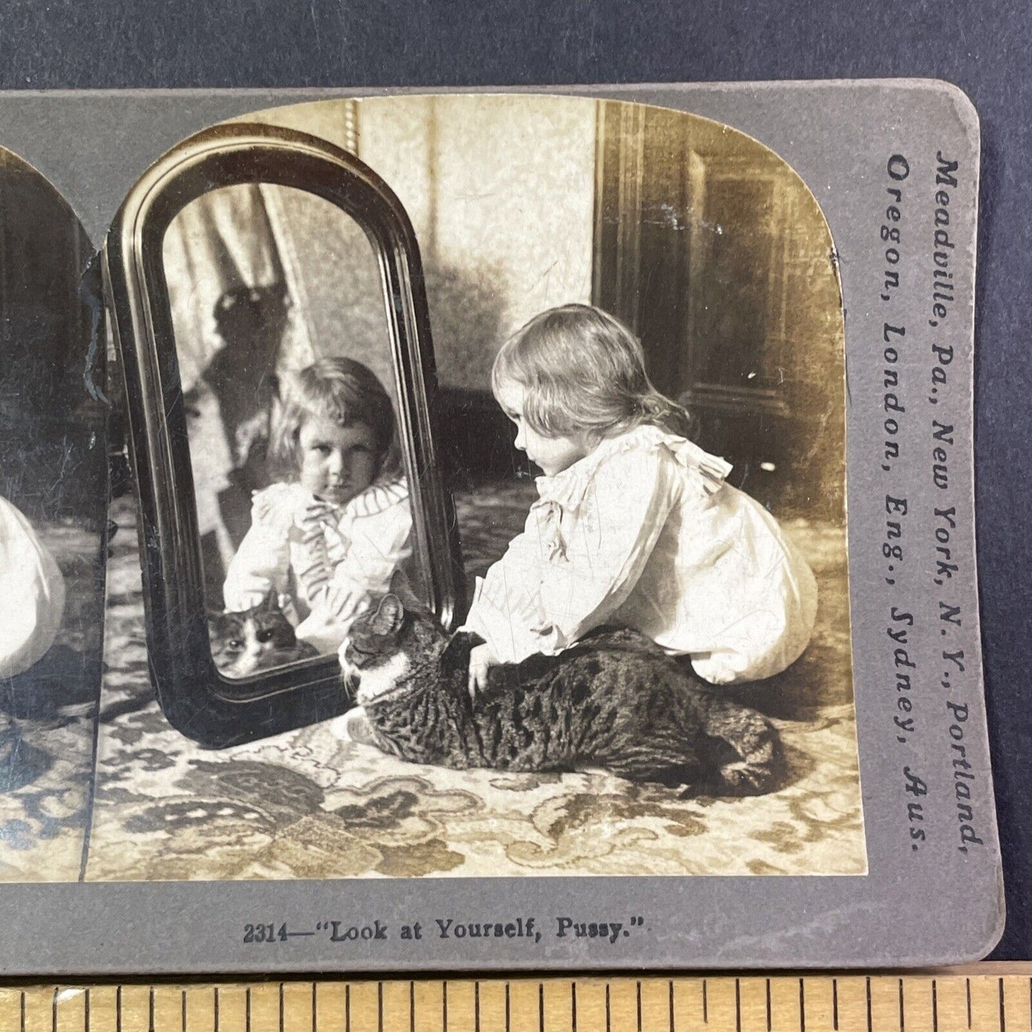 Child With A Large Cat In Mirror Stereoview Antique c1896 X2585