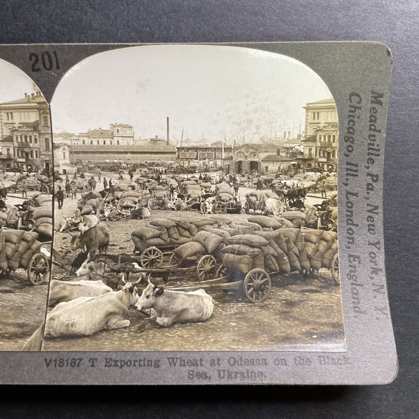 Antique 1920s Odessa Ukraine Wheat Export Market Stereoview Photo Card P1486