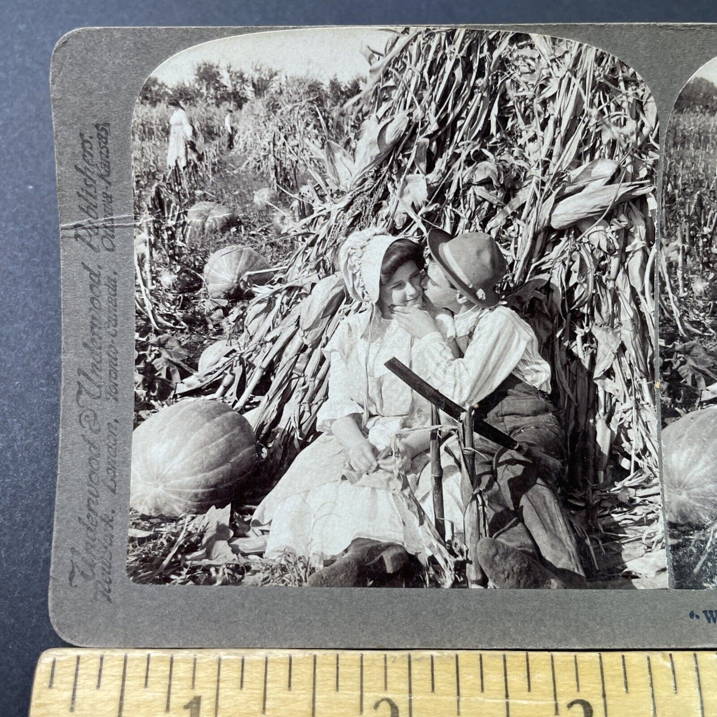 Antique 1904 Lovers Kiss In Pumpkin Patch Stereoview Photo Card P2840